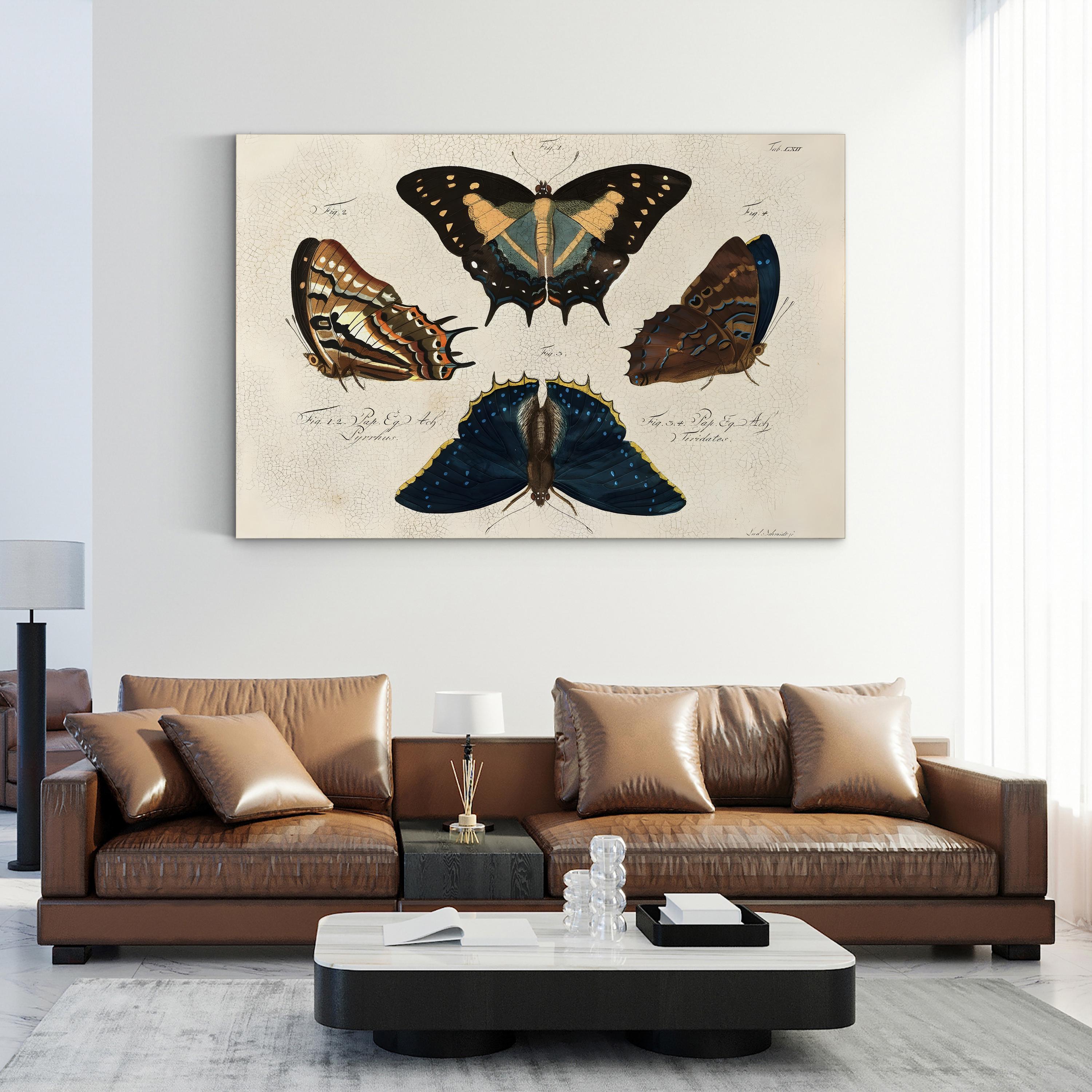Crackled Composition of Butterflies in Natural History illustration
