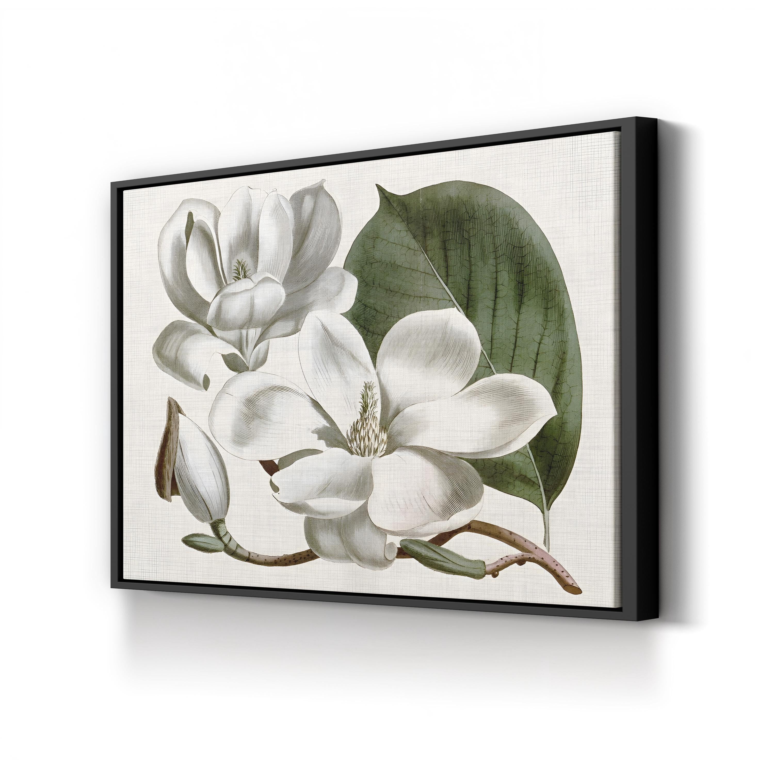 Vintage Magnolia Bloom canvas print in black frame