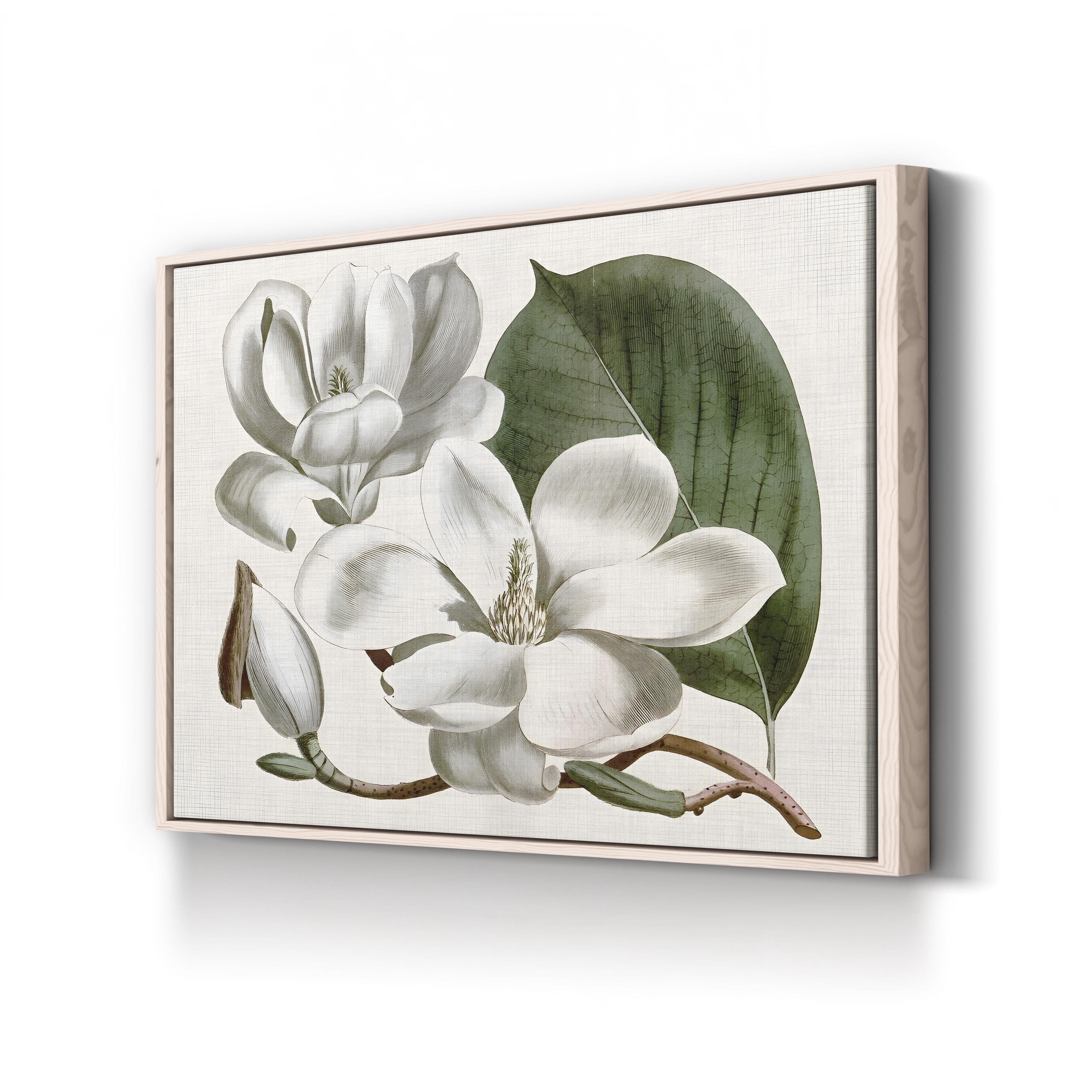 Vintage Magnolia Bloom canvas print in natural frame