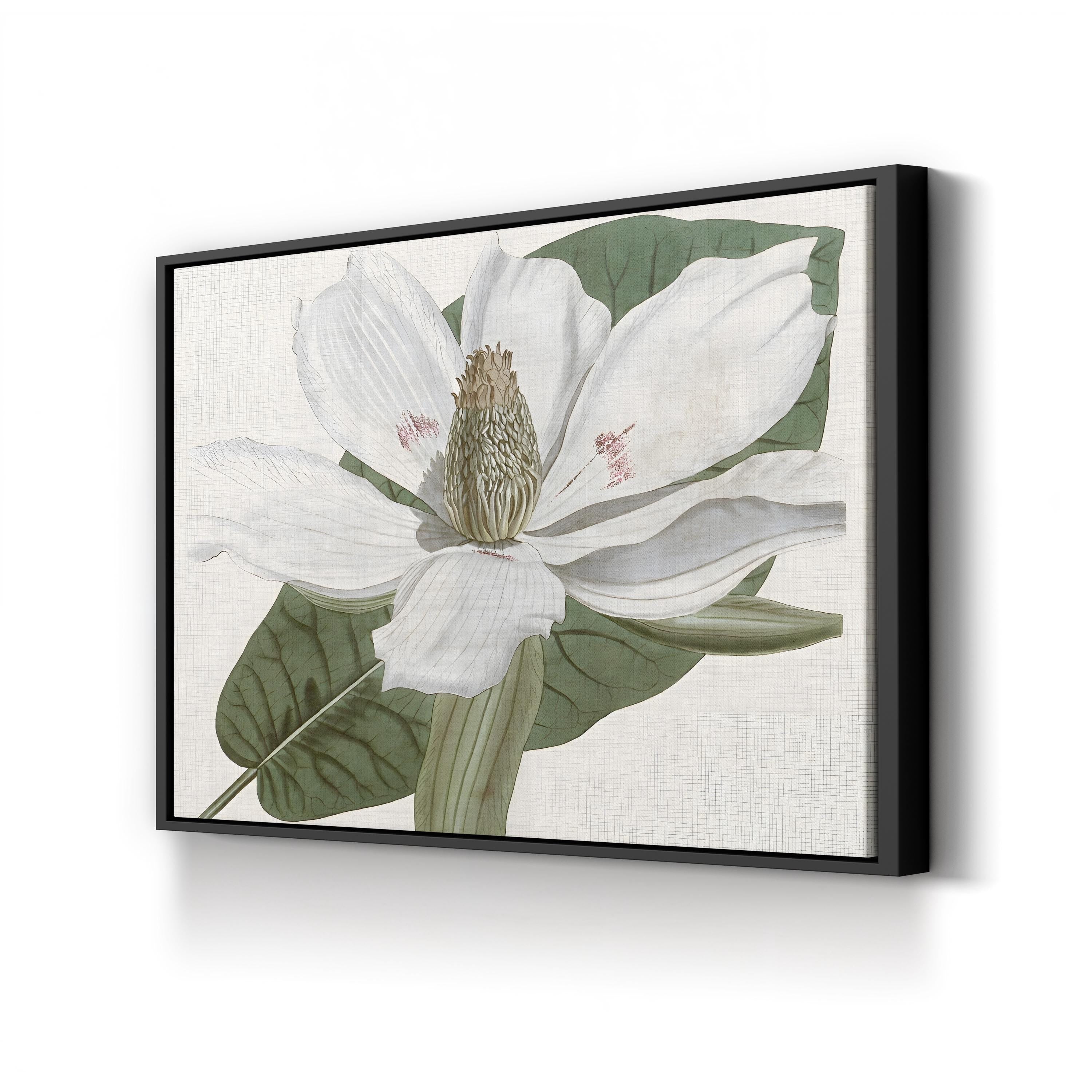 Curtis Magnolia II Wall Art by Curtis Art