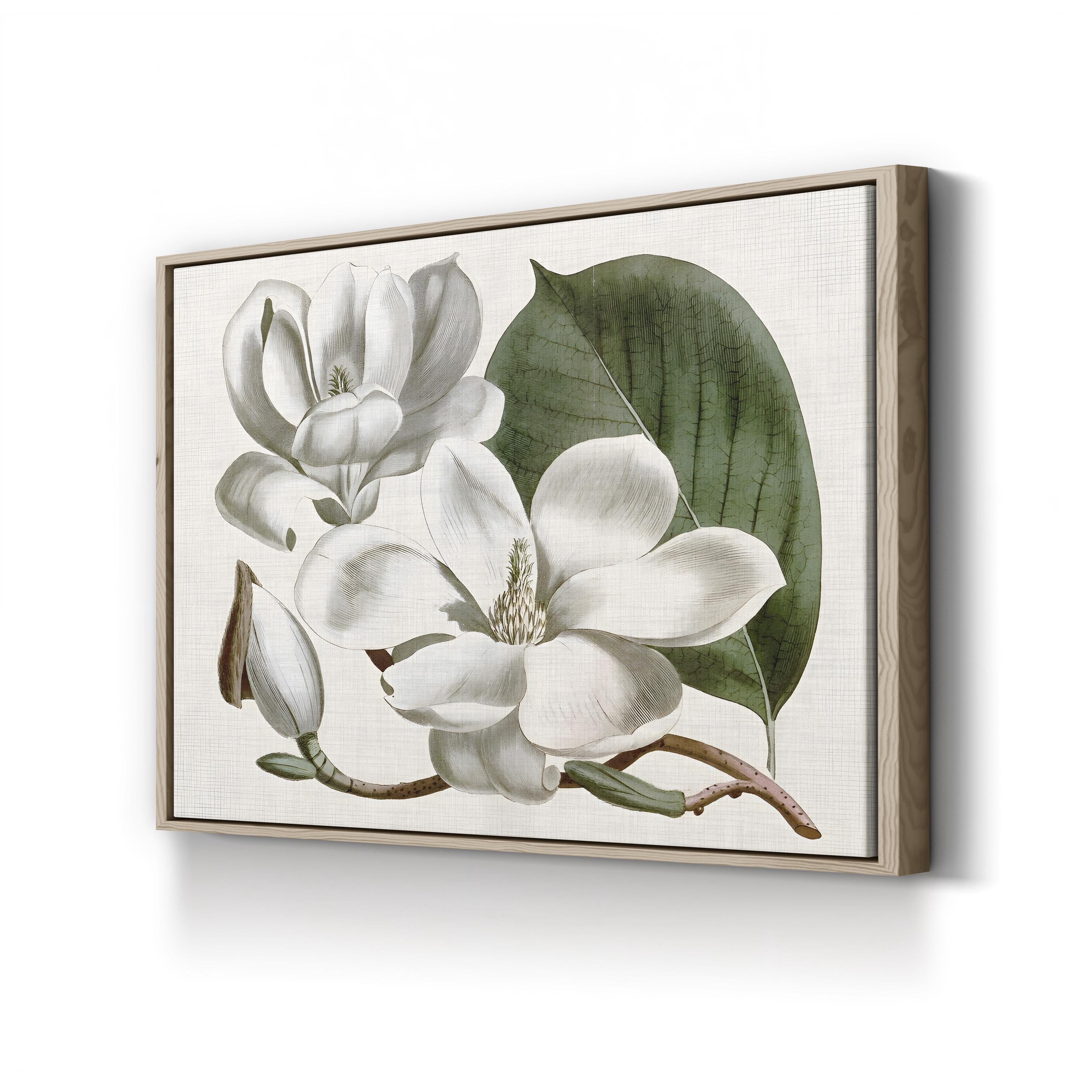 Vintage Magnolia Bloom canvas print in oak frame