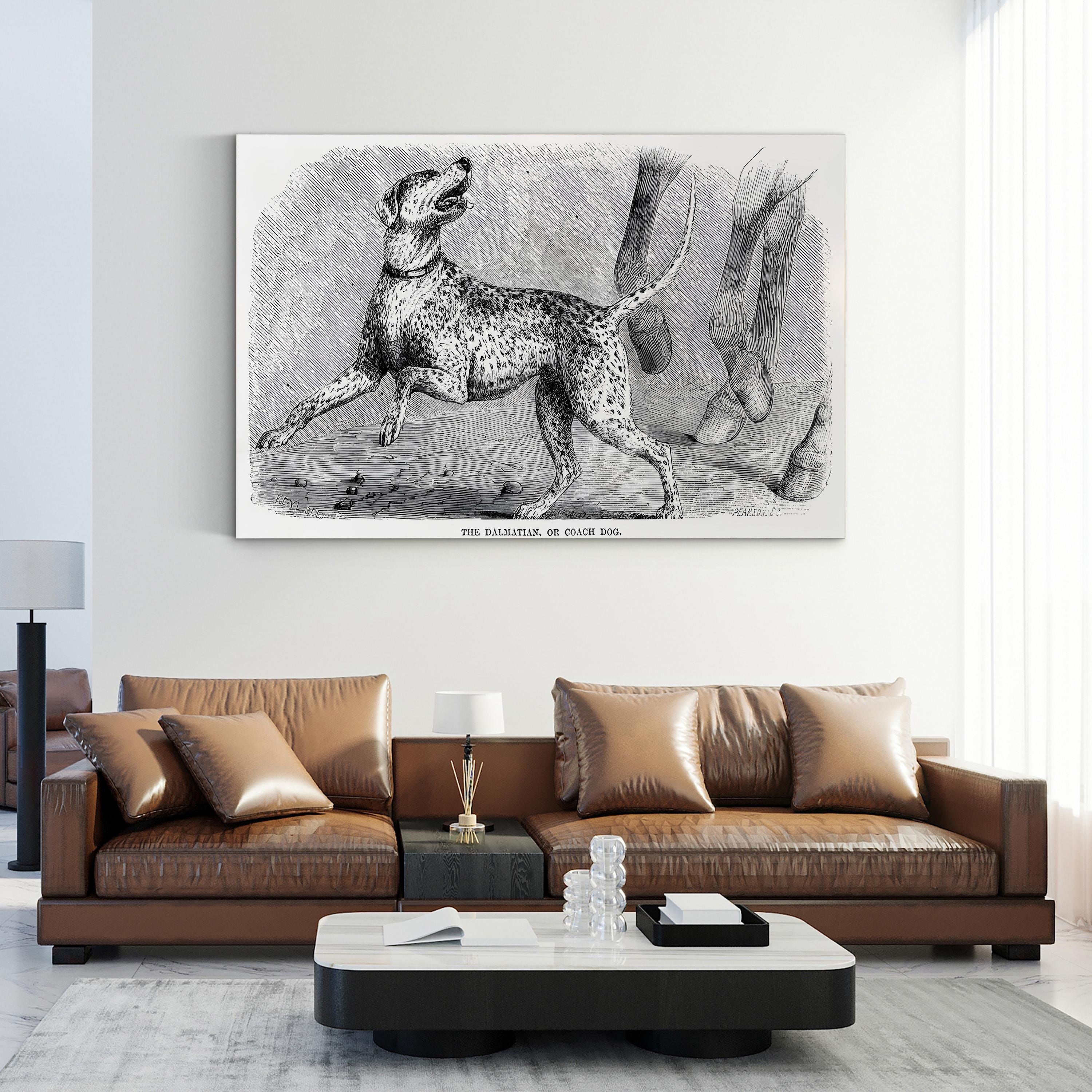 Vintage Dalmatian Dog Study – Period Illustration Wall Art | Naturalist Animal Canvas Print