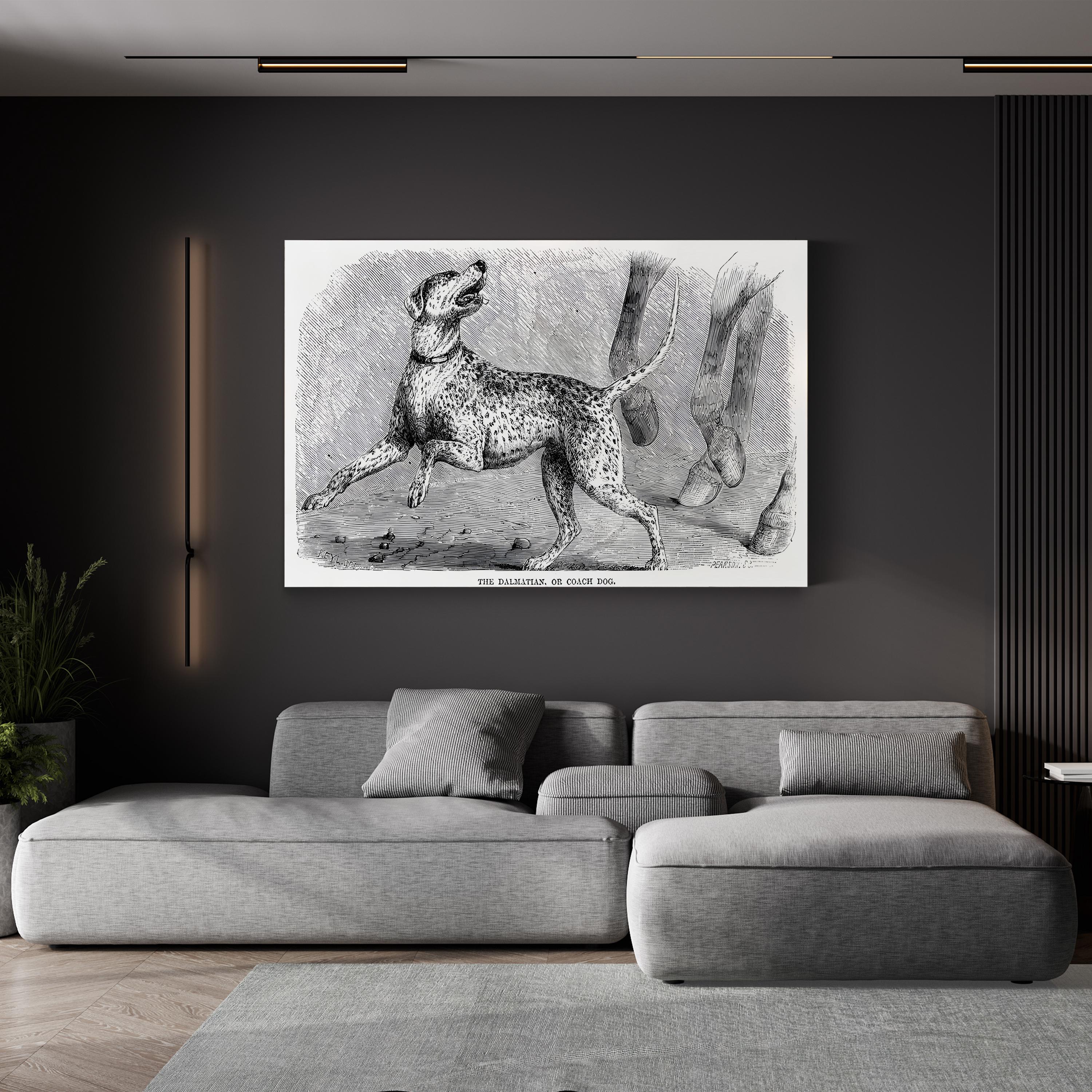 Vintage Dalmatian Dog Study – Period Illustration Wall Art | Naturalist Animal Canvas Print