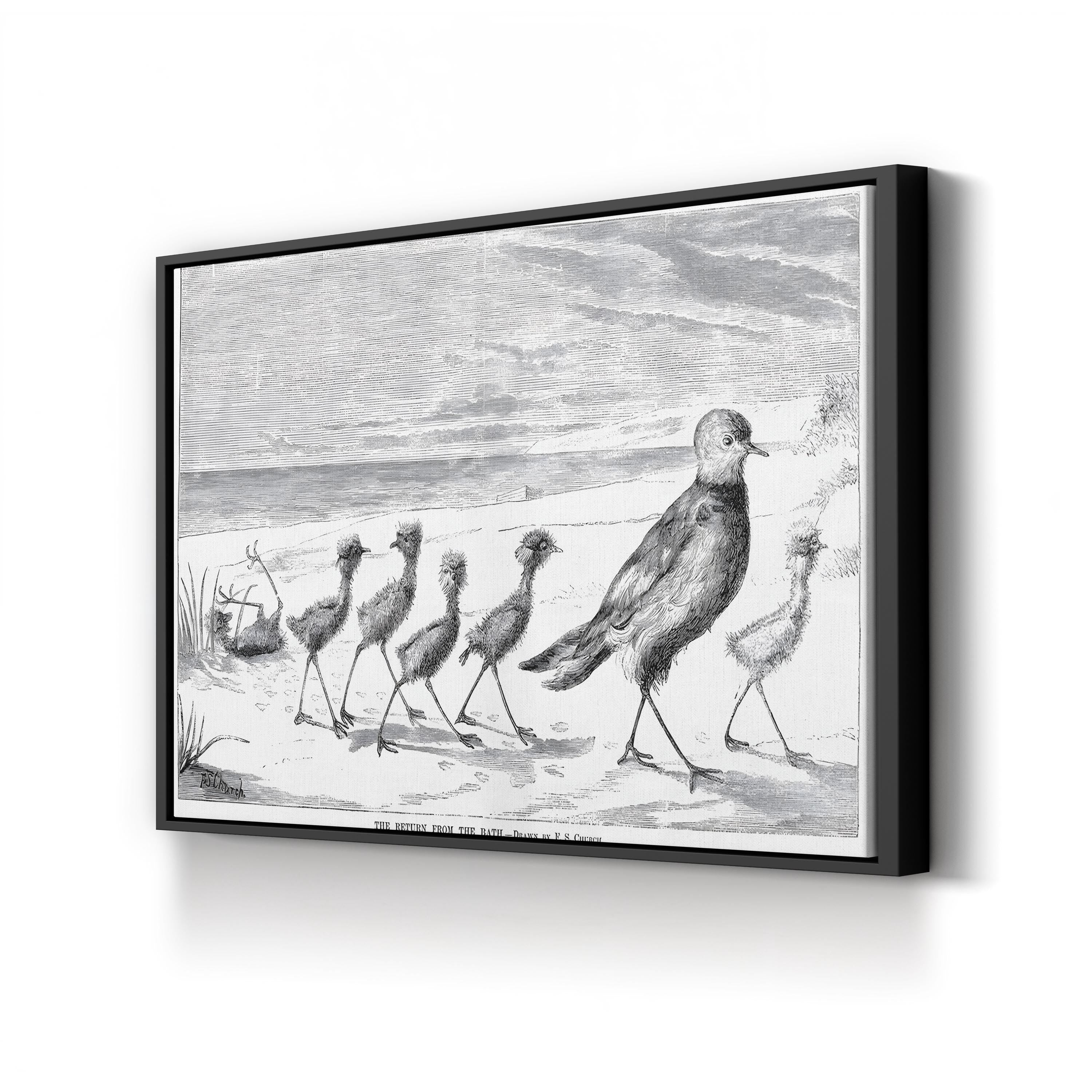 Vintage Bird Family Canvas Art Print: 1879 Engraved Nature Illustration