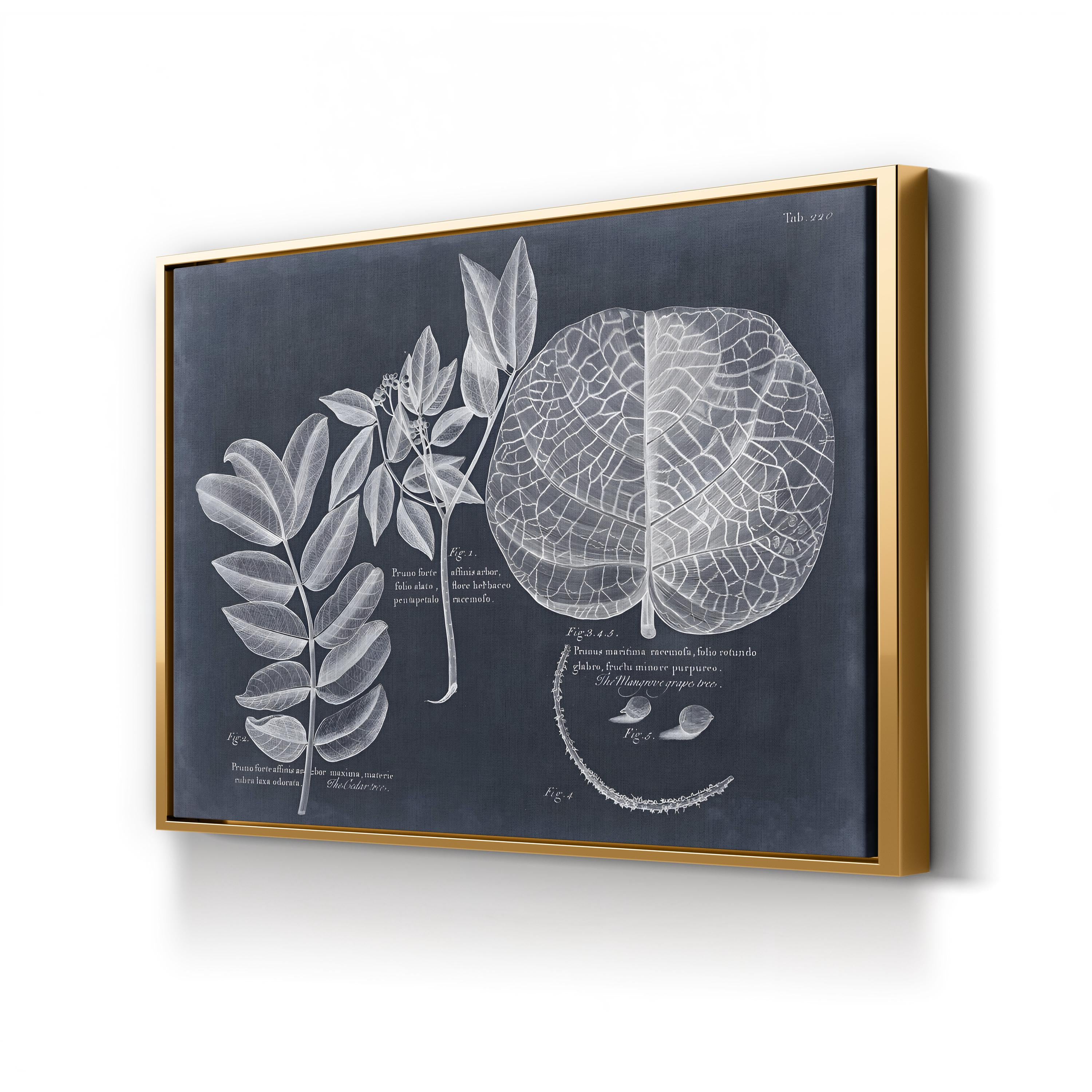 Antique Botanical Leaf Illustration on Navy canvas print in Gold Framed Canvas