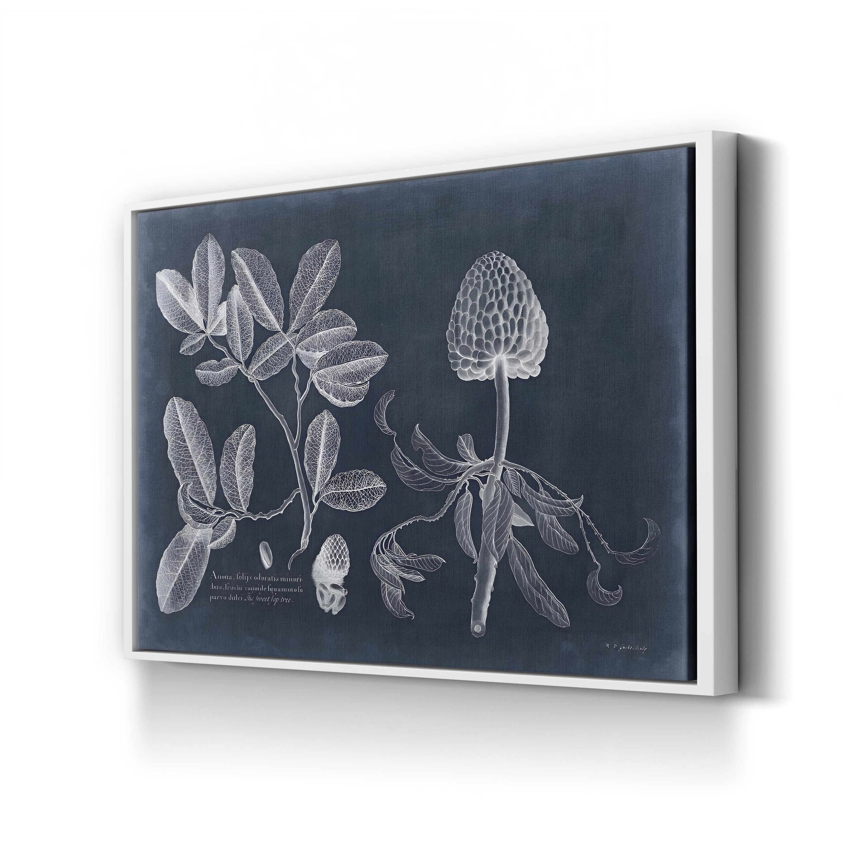 Vintage Botanical Art Print: Navy & White Foliage Anatomy