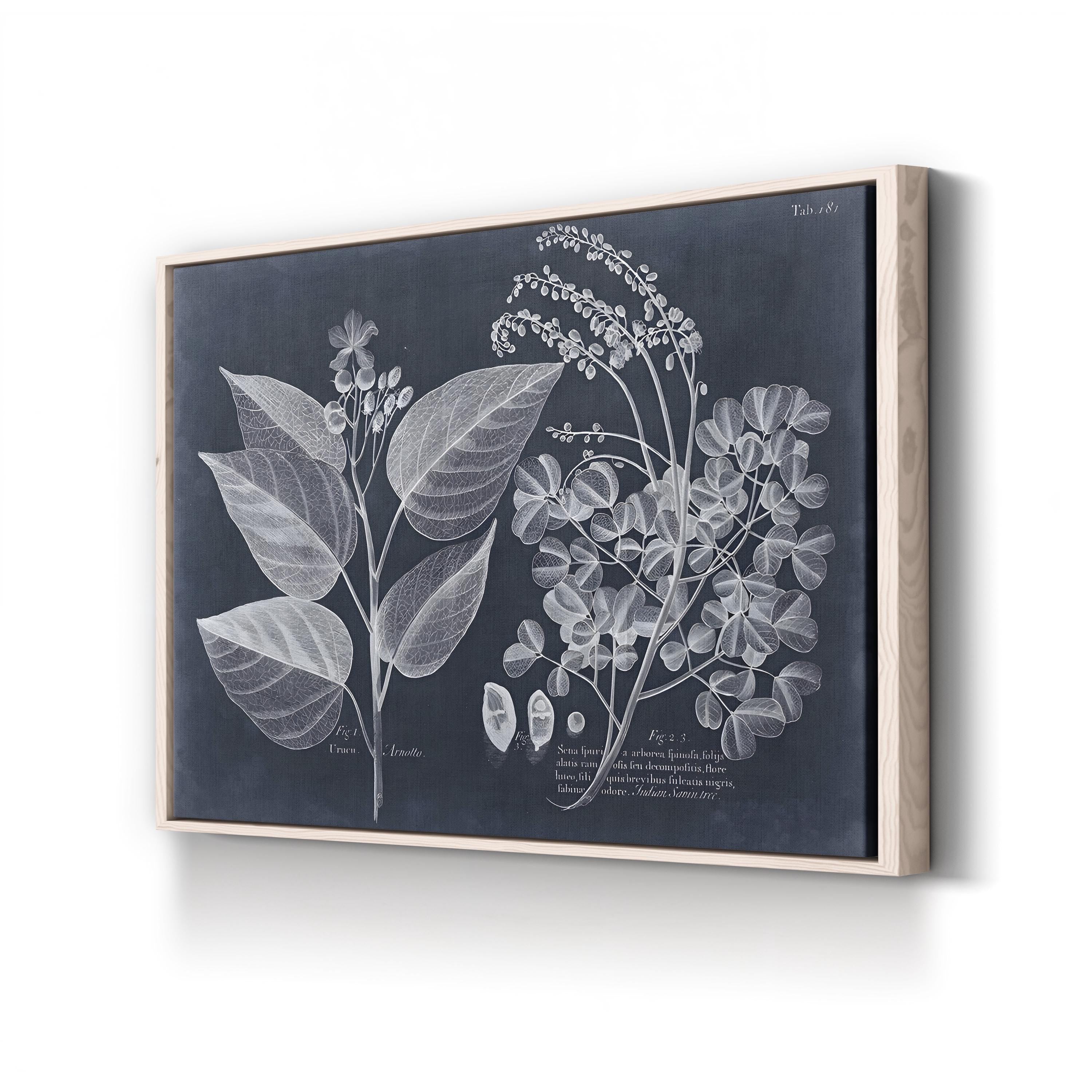 Foliage on Navy III Wall Art — Vision Studio Vintage Botanical Illustration