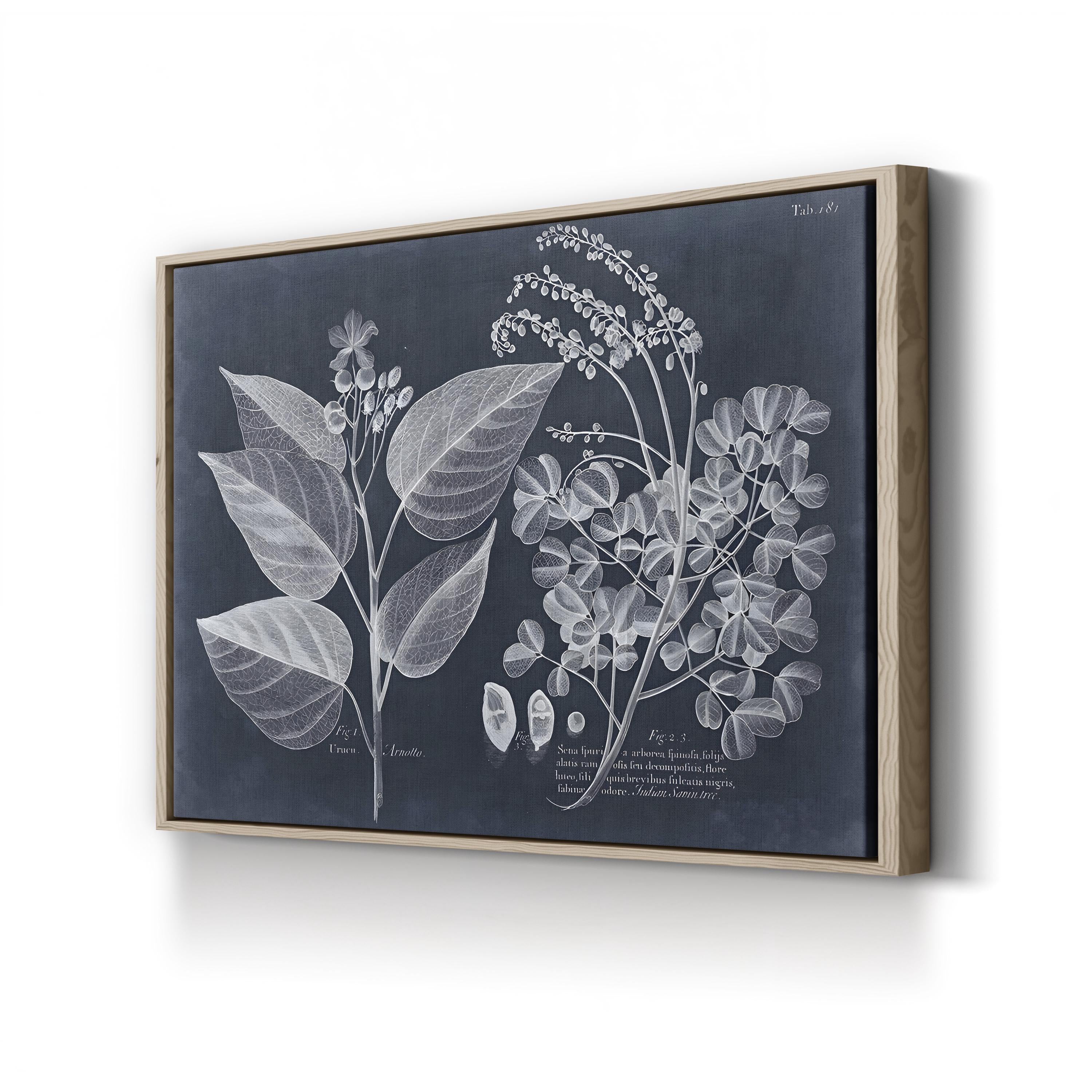 Foliage on Navy III Wall Art — Vision Studio Vintage Botanical Illustration