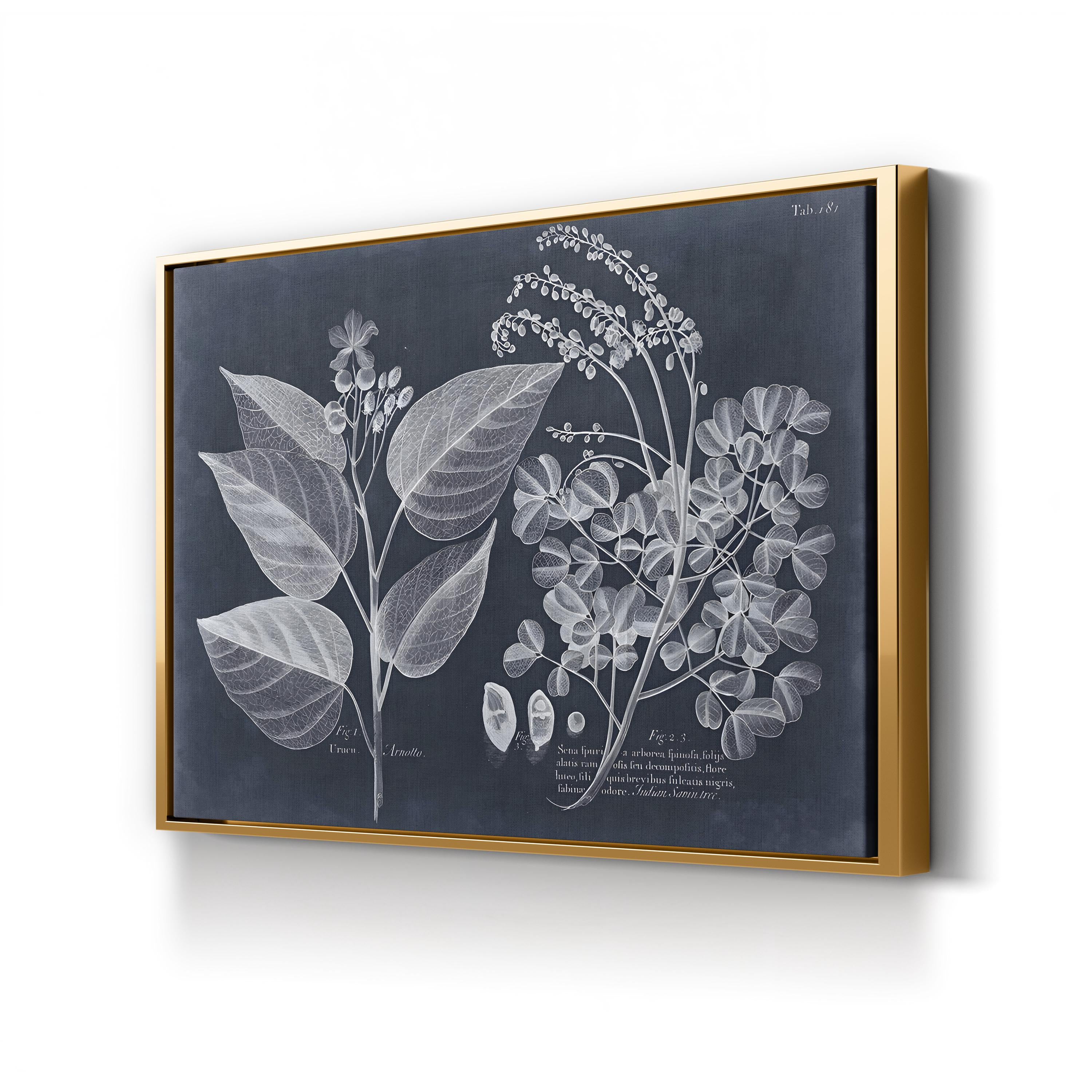 Foliage on Navy III Wall Art — Vision Studio Vintage Botanical Illustration