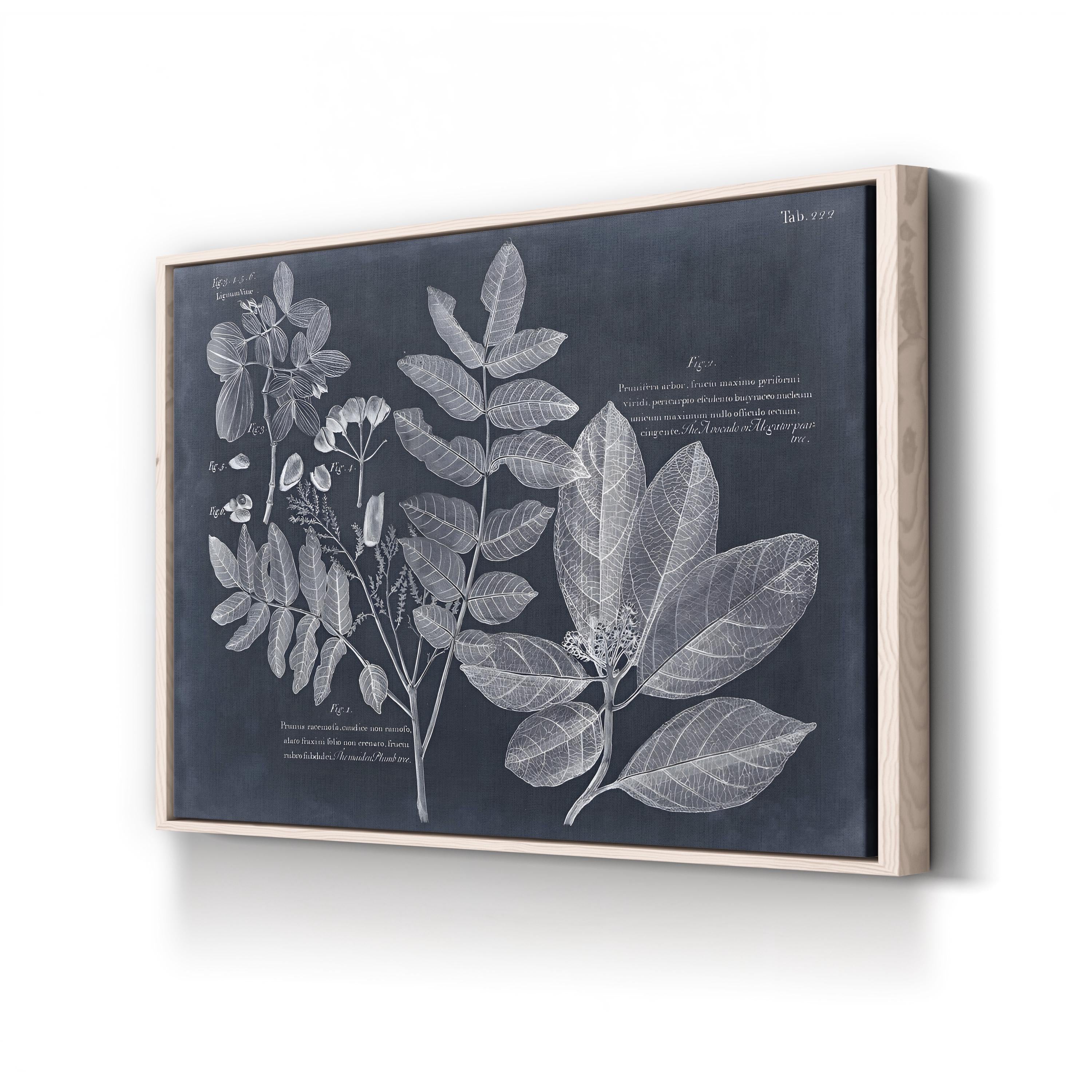 Foliage on Navy V Wall Art — Vision Studio Vintage Botanical Illustration