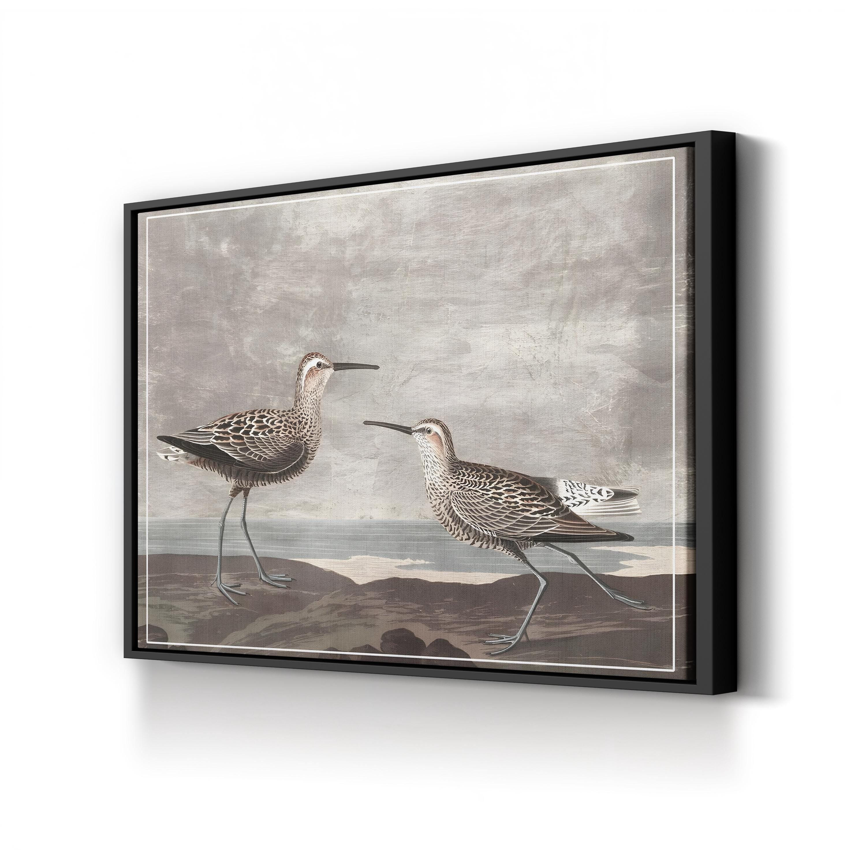 Curved-Bill Shorebirds on the Shore canvas print in black frame