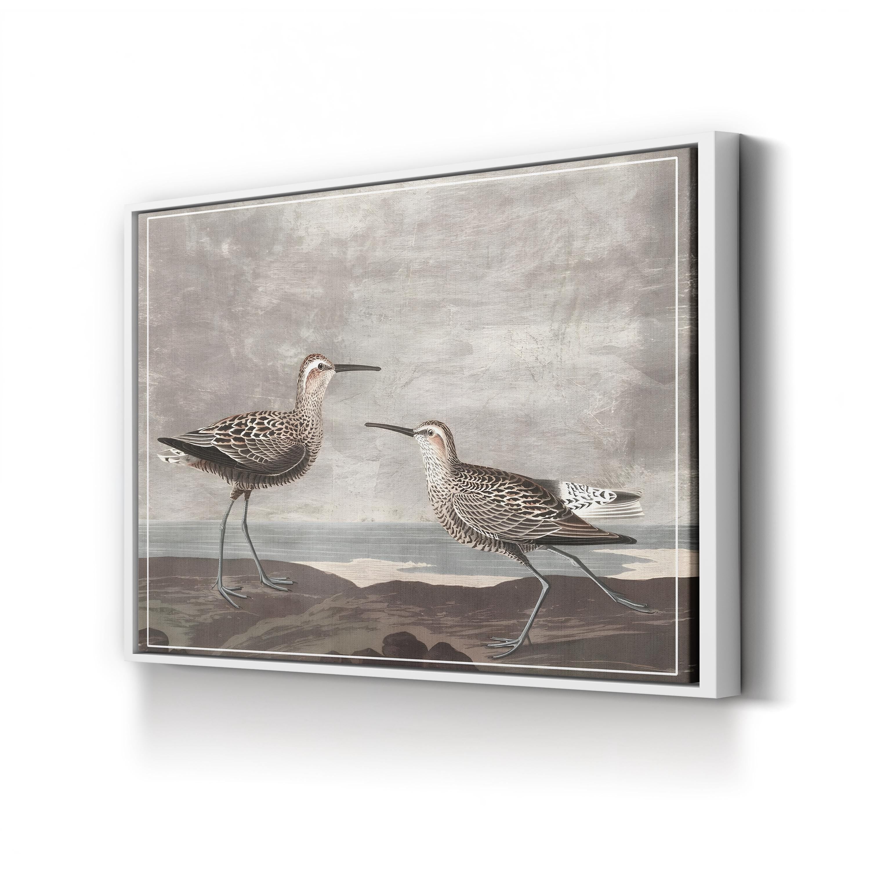 Curved-Bill Shorebirds on the Shore canvas print in White frame