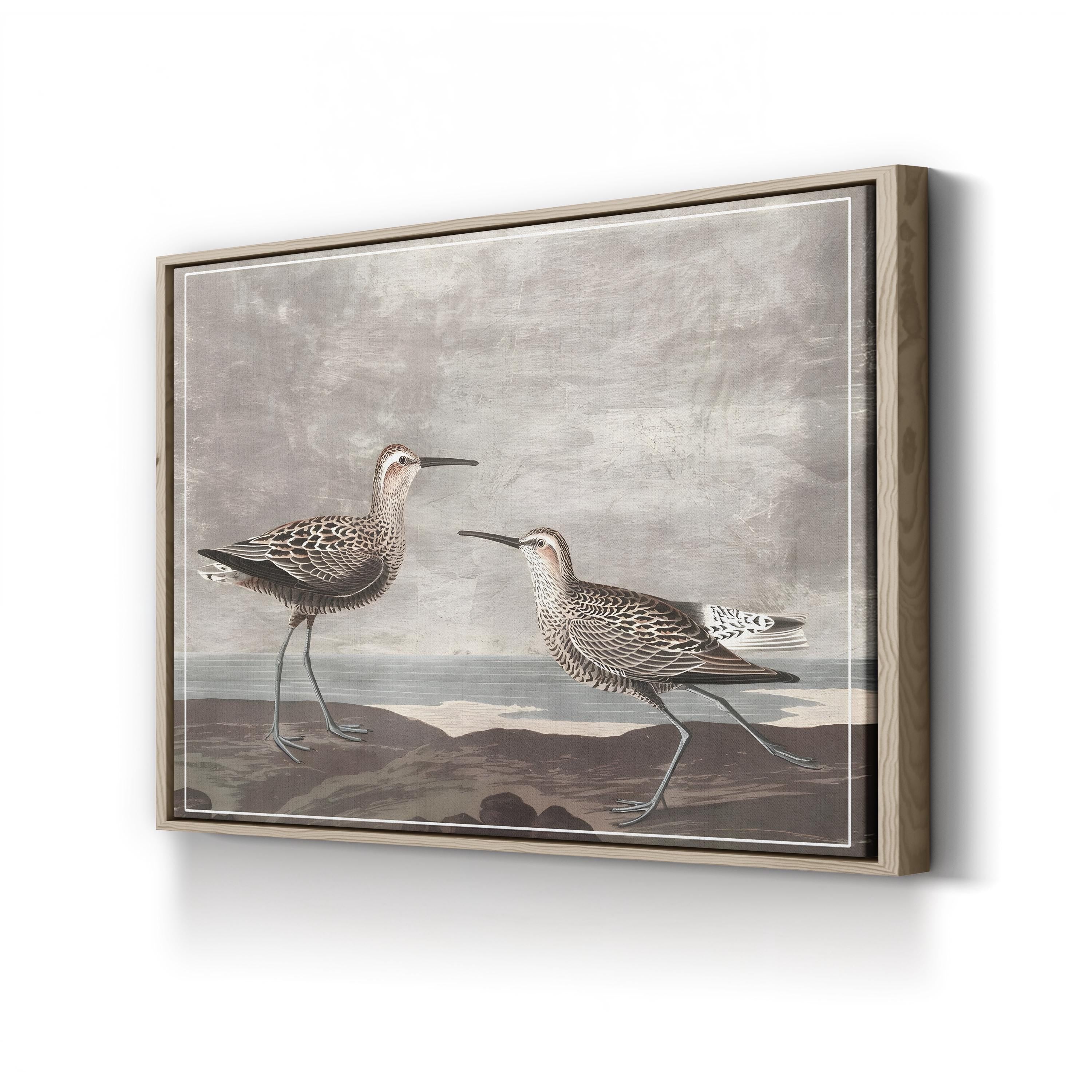 Curved-Bill Shorebirds on the Shore canvas print in Oak frame