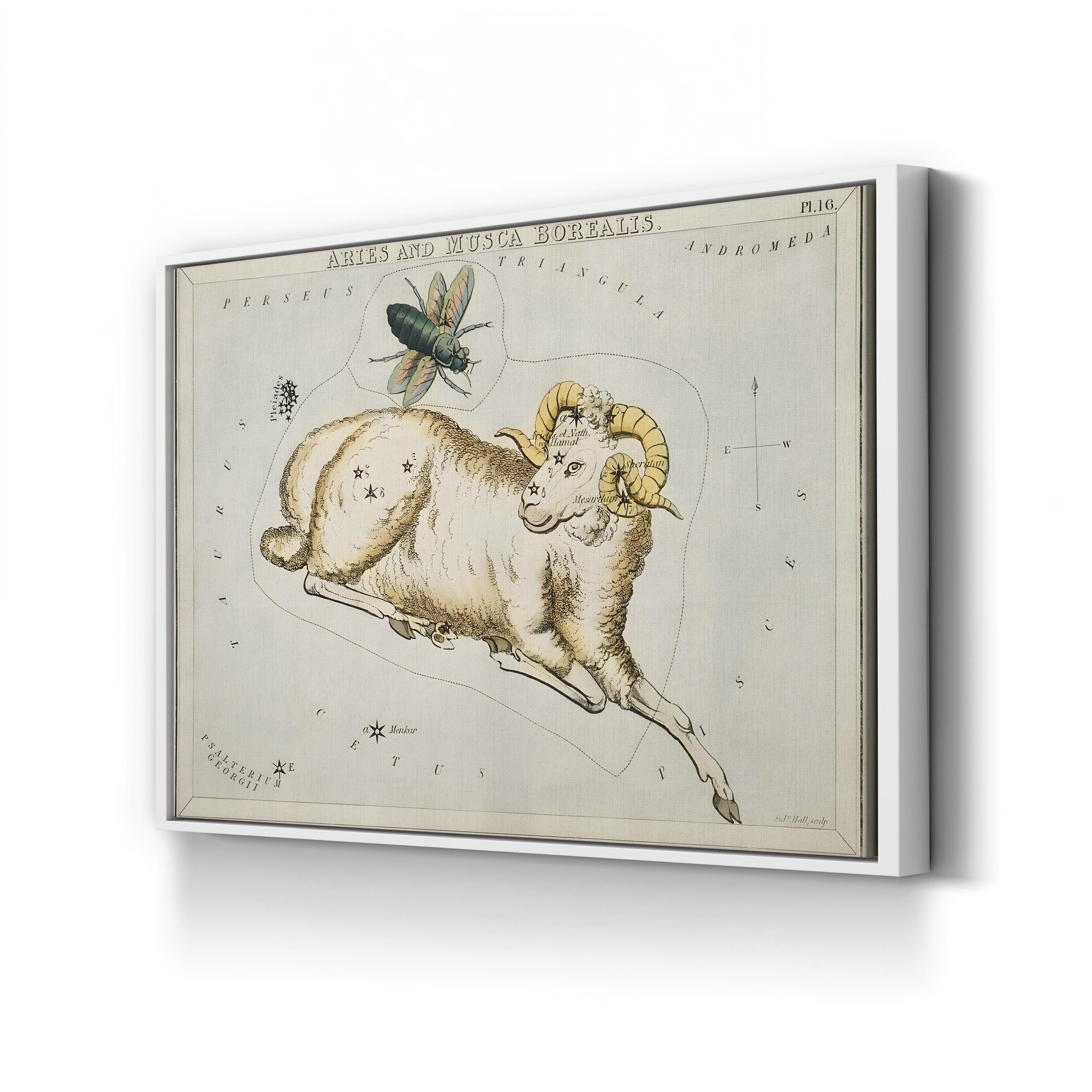 Hall’s Astronomical Illustrations I Wall Art – Aries & Musca Borealis Vintage Star Map Print
