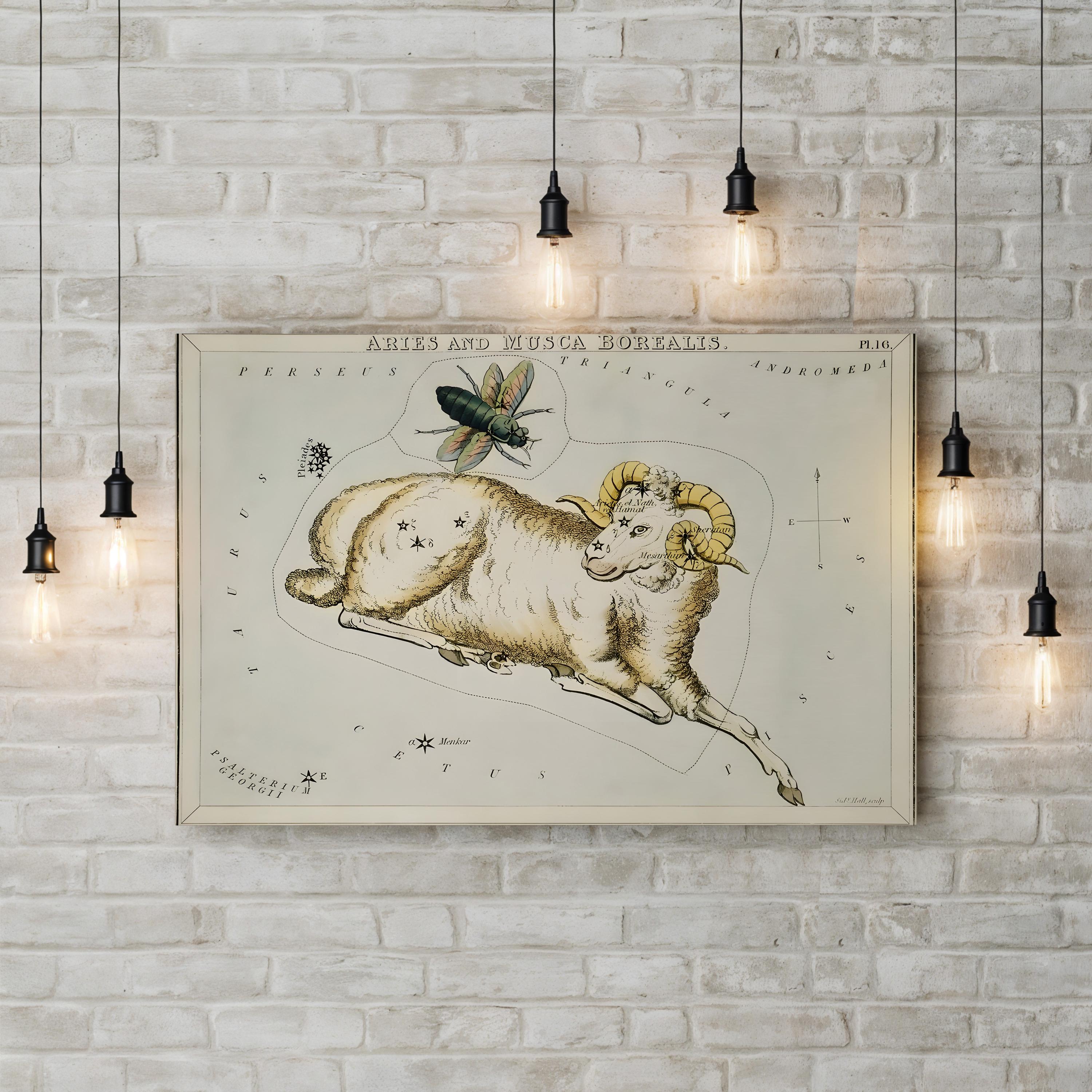 Hall’s Astronomical Illustrations I Wall Art – Aries & Musca Borealis Vintage Star Map Print
