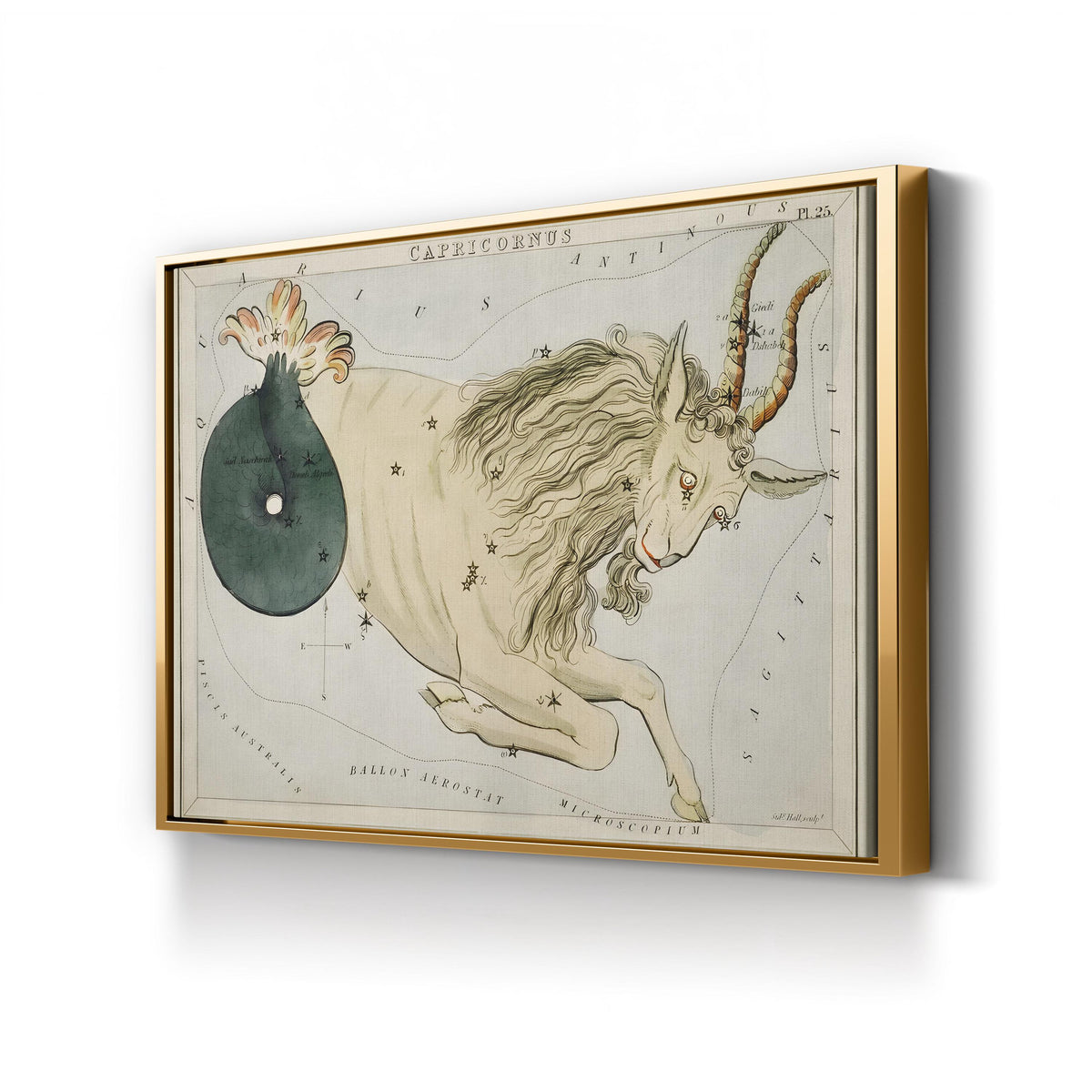 Hall’s Astronomical Illustrations VIII, Capricorn Star Map, c. 1824 by Sidney Hall canvas print in Gold frame