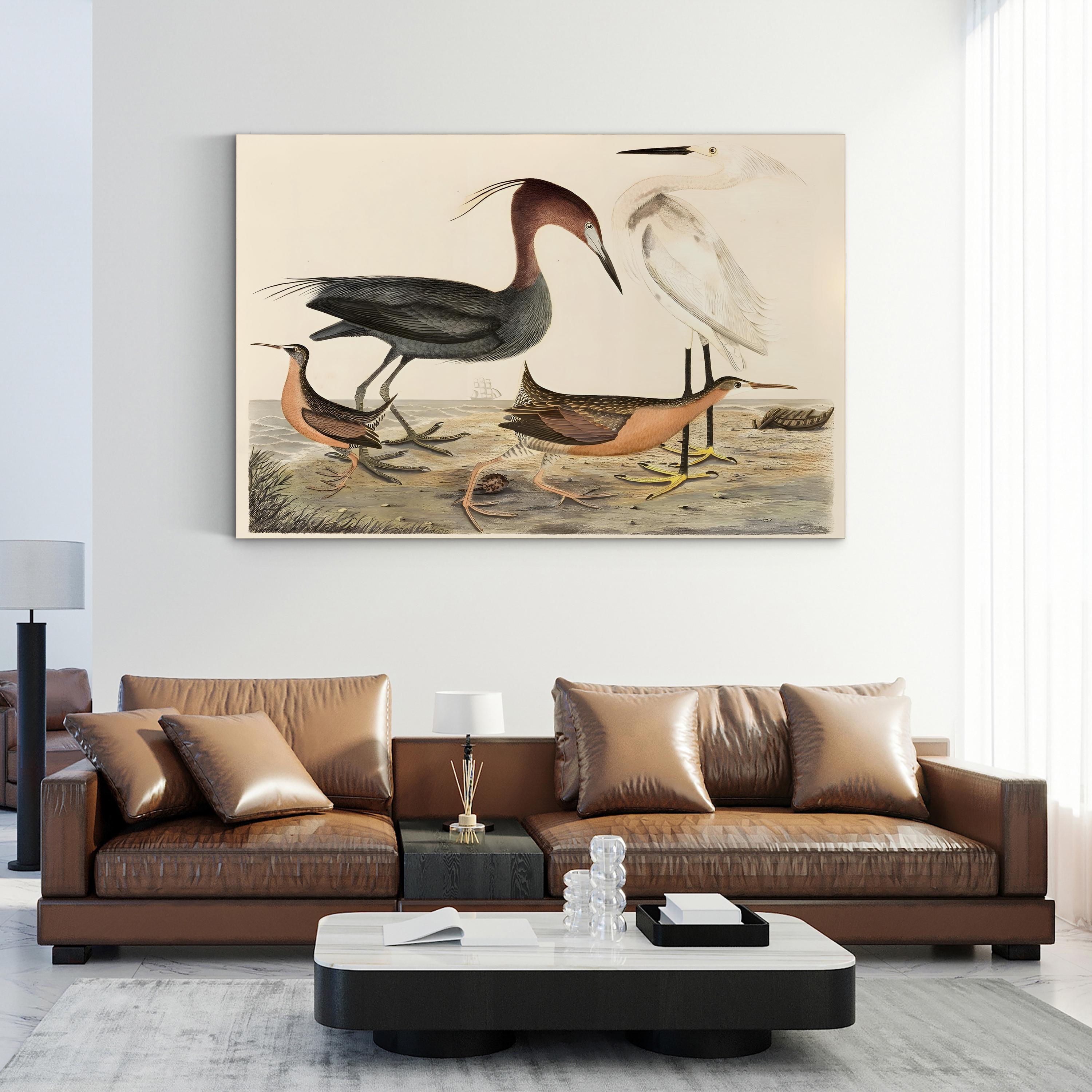 Heron Family – Alexander Wilson Wall Art | Coastal Bird Canvas Print