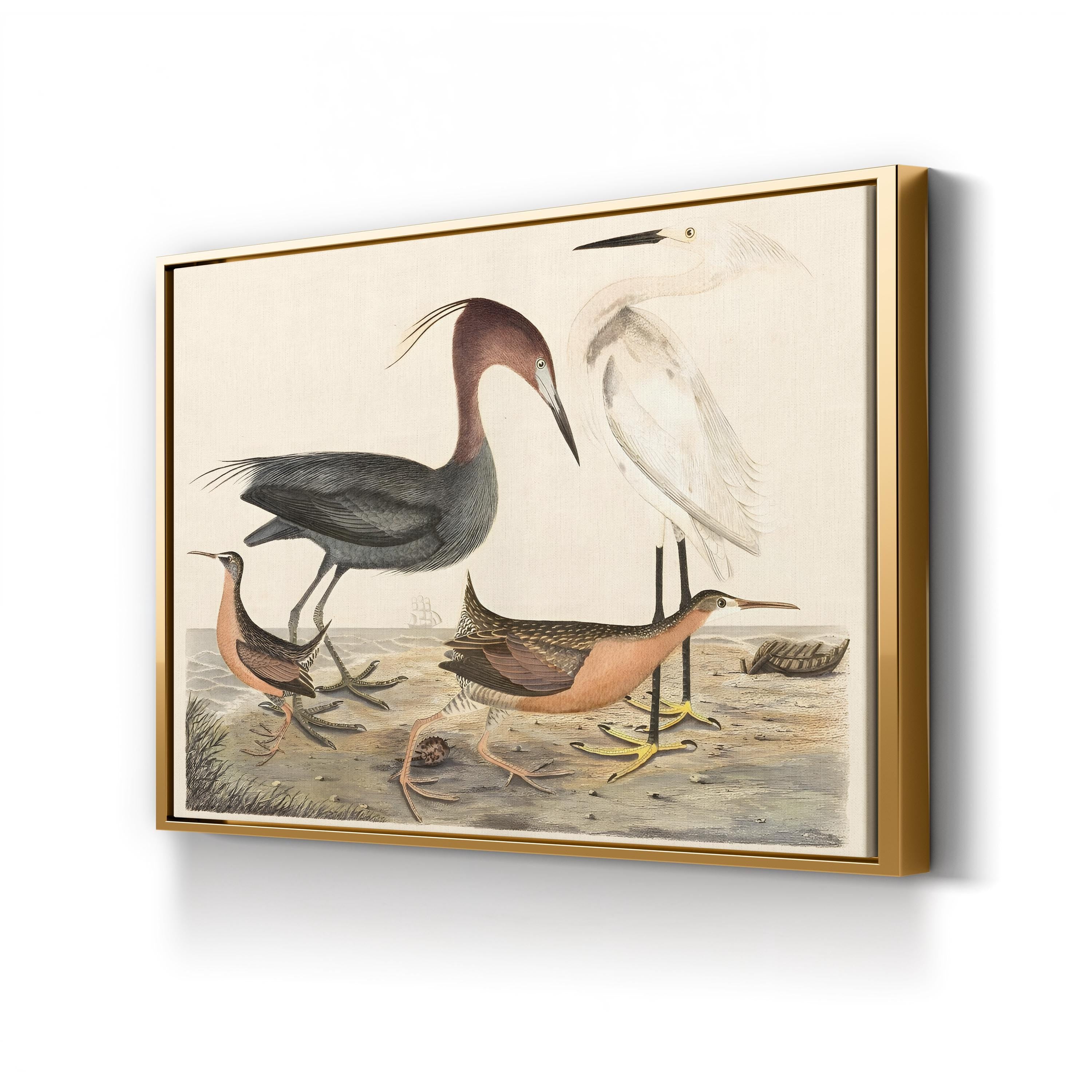 Heron Family – Alexander Wilson Wall Art | Coastal Bird Canvas Print