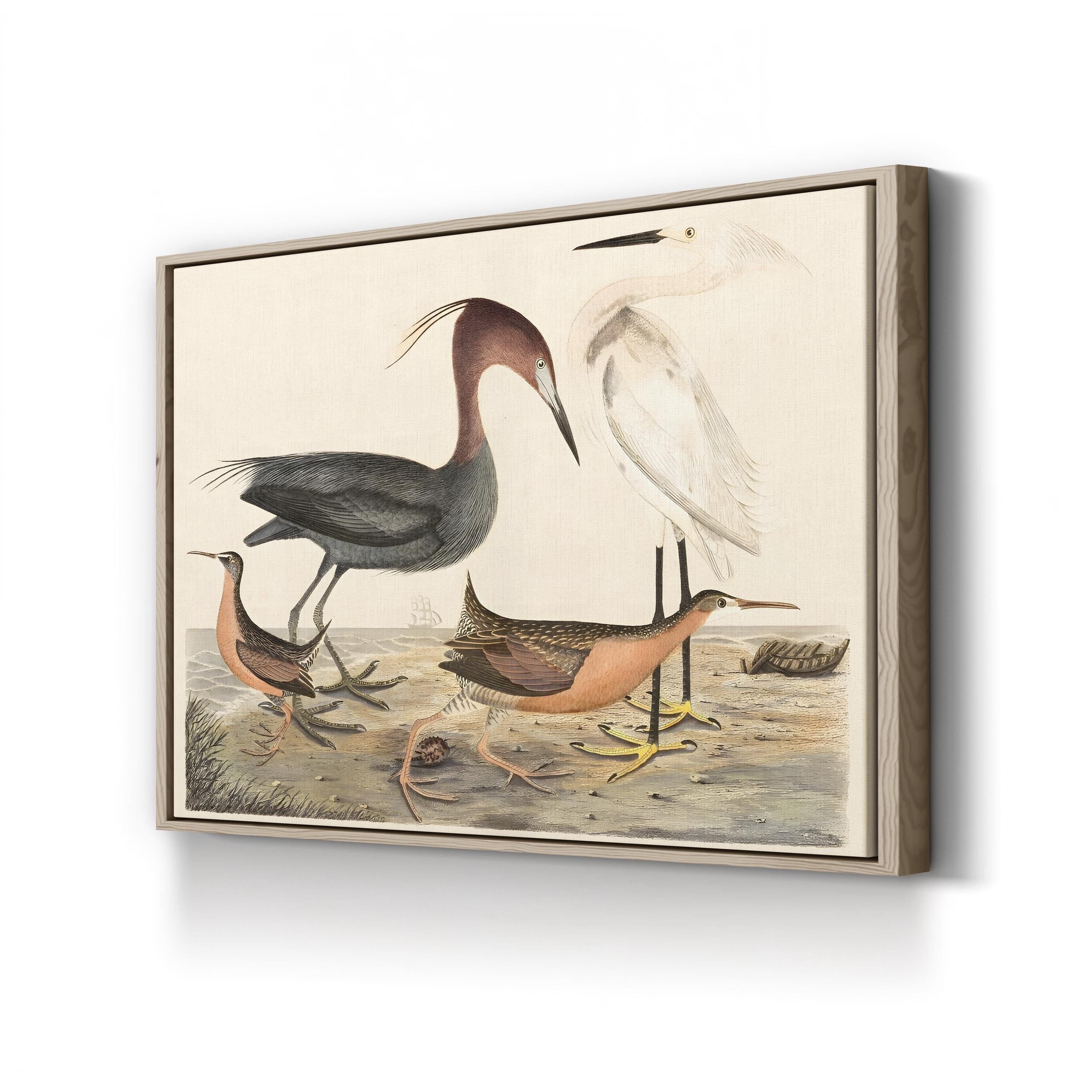 Heron Family – Alexander Wilson Wall Art | Coastal Bird Canvas Print