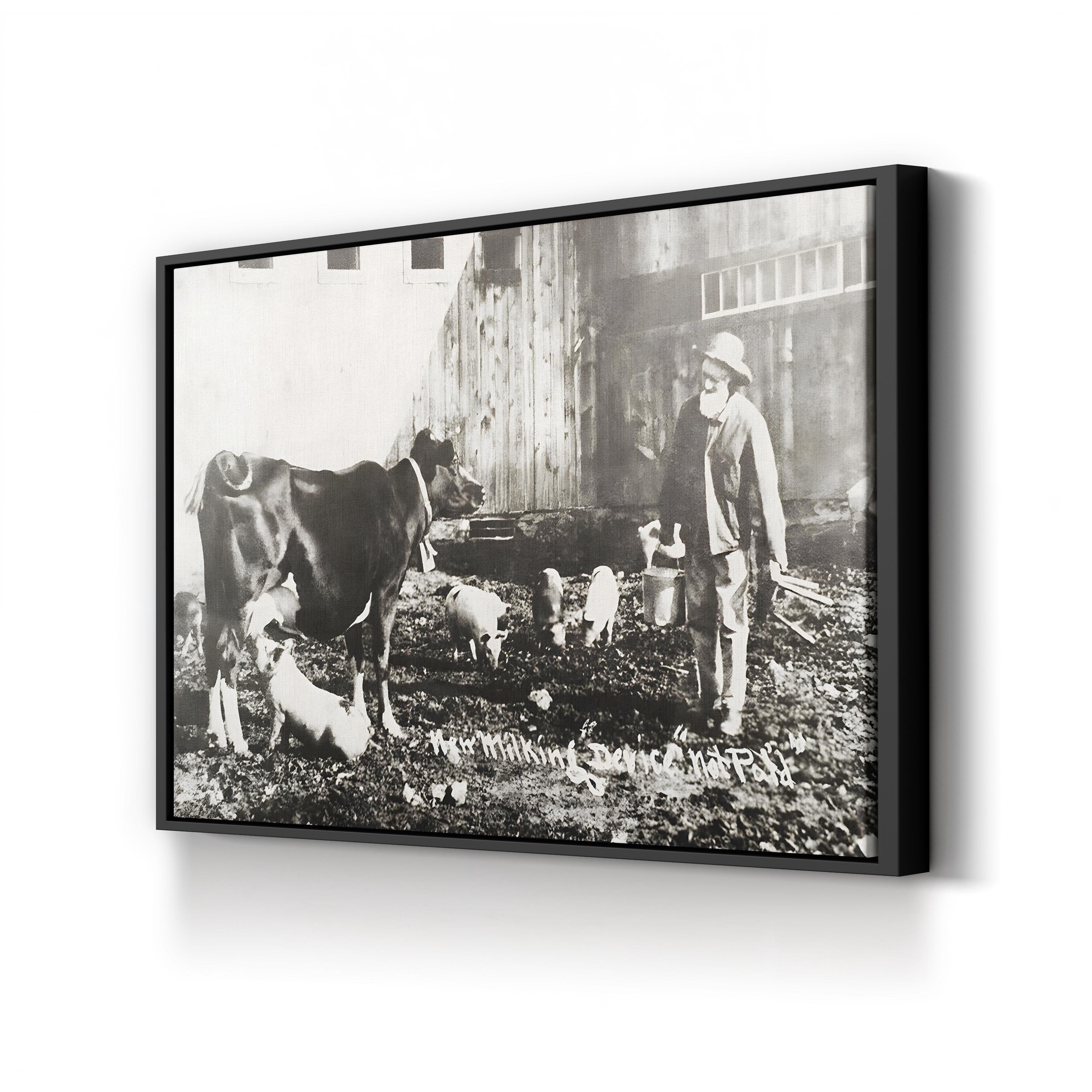 19th Century Farm Life Wall Art – Piglet Nursing from Cow Historic Photograph
