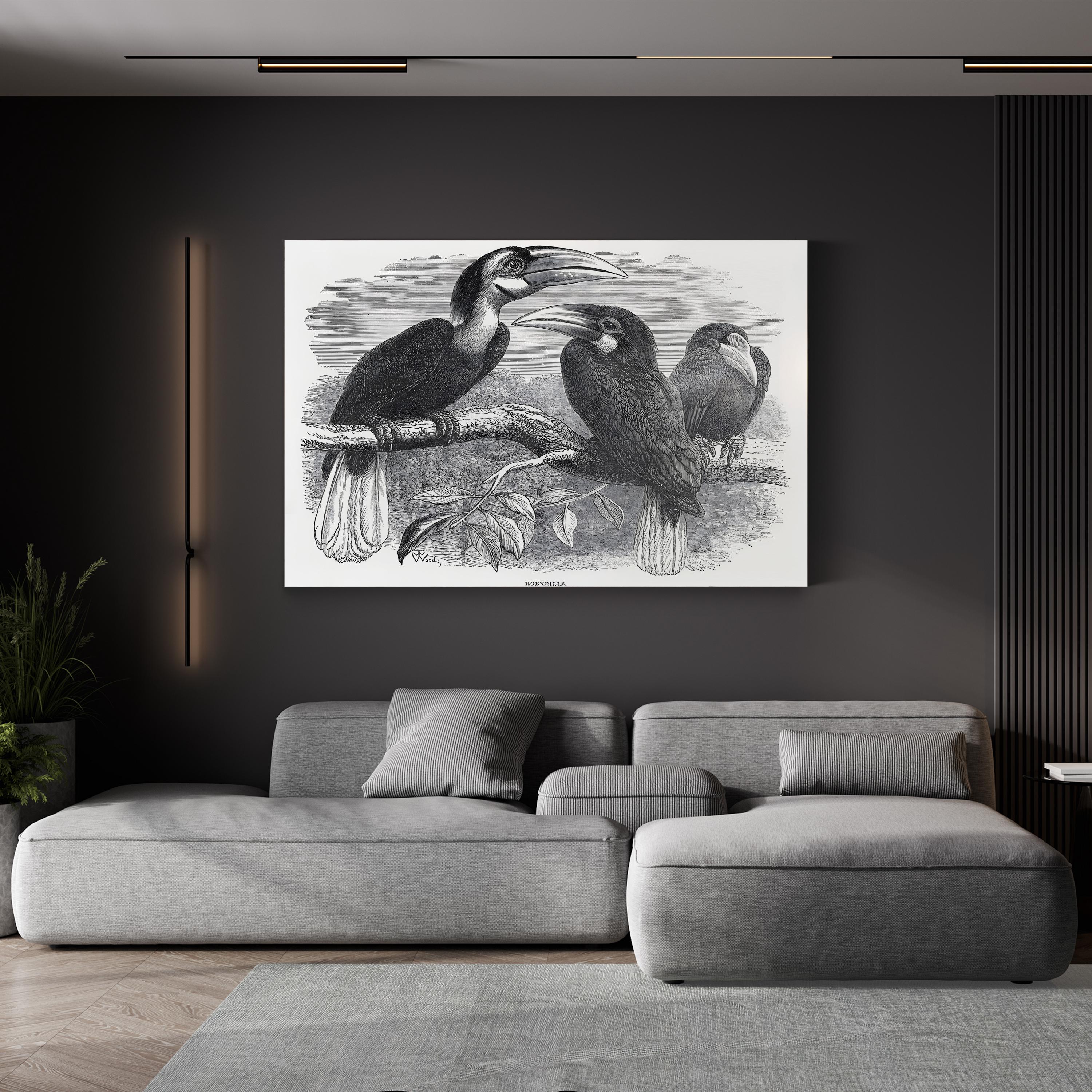Hornbills, 19th Century – Period Illustration Wall Art | Exotic Bird Engraving Canvas Print
