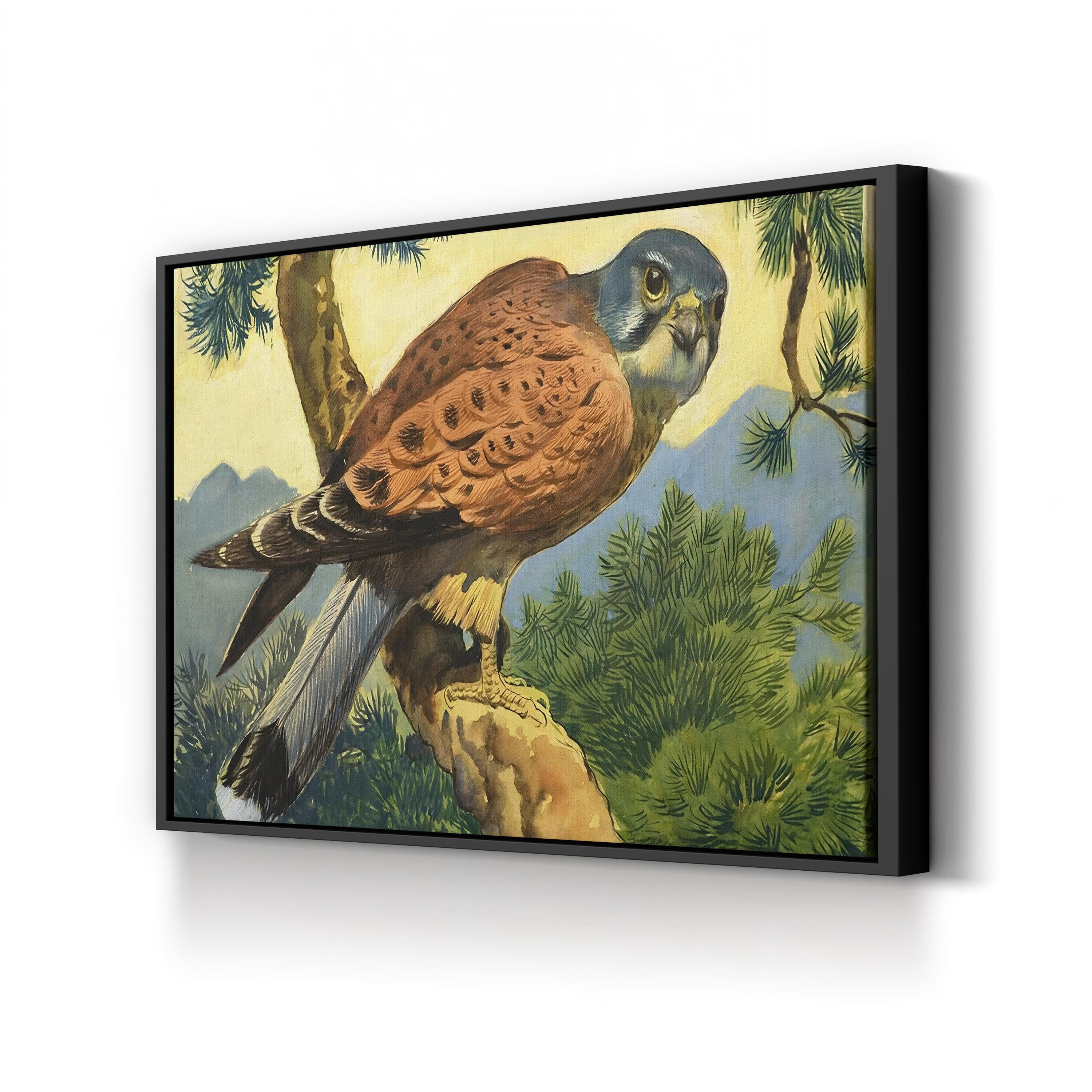 Kestrel Falcon, 1966 – Period Illustration Wall Art | Wildlife Canvas Print