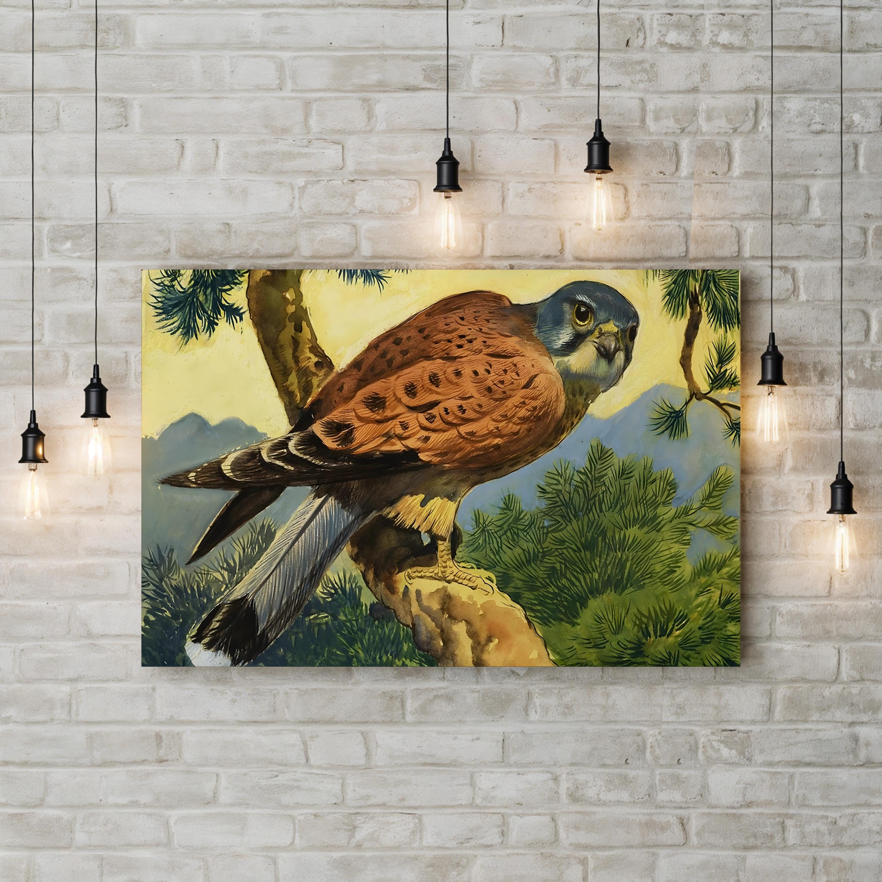 Kestrel Falcon, 1966 – Period Illustration Wall Art | Wildlife Canvas Print