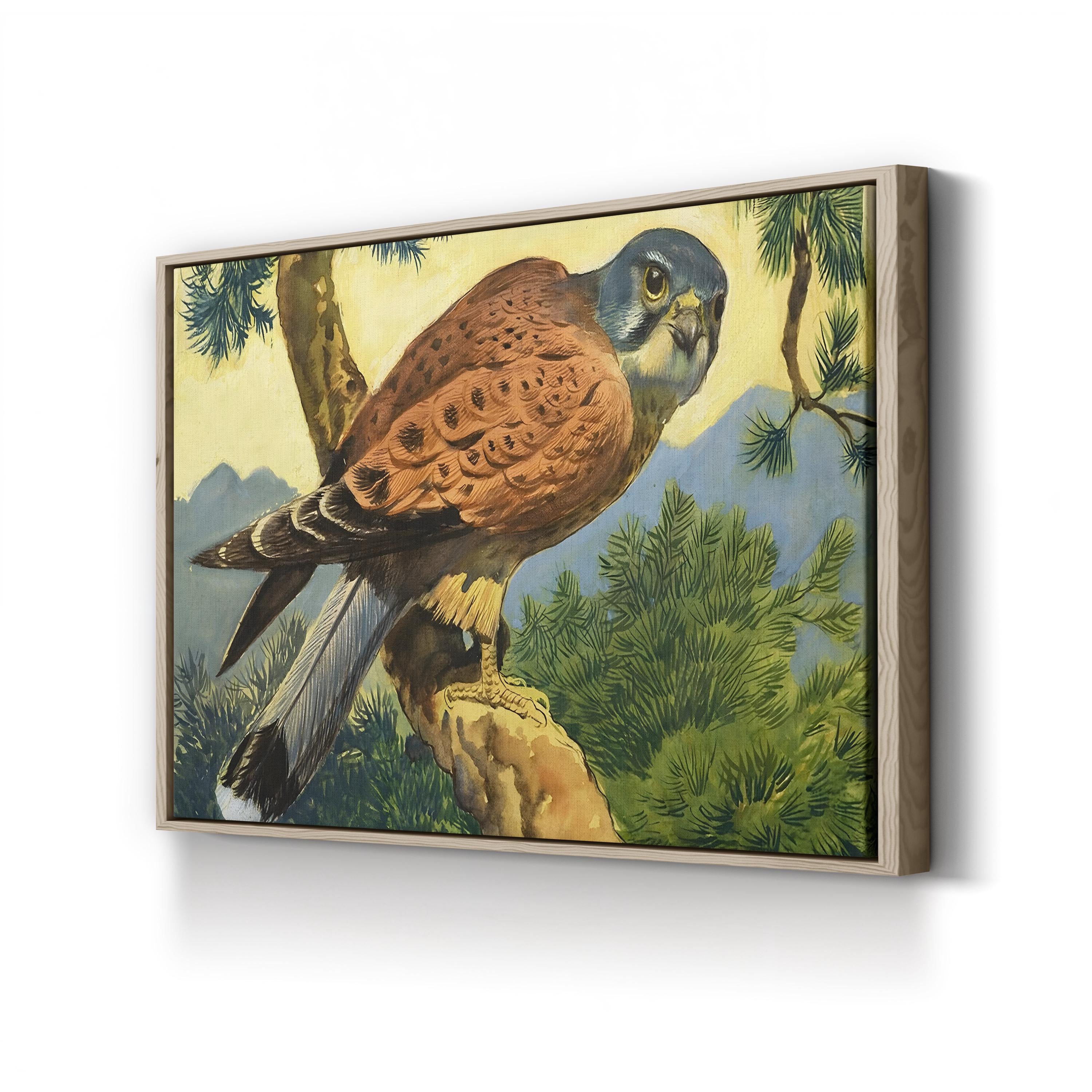 Kestrel Falcon, 1966 – Period Illustration Wall Art | Wildlife Canvas Print