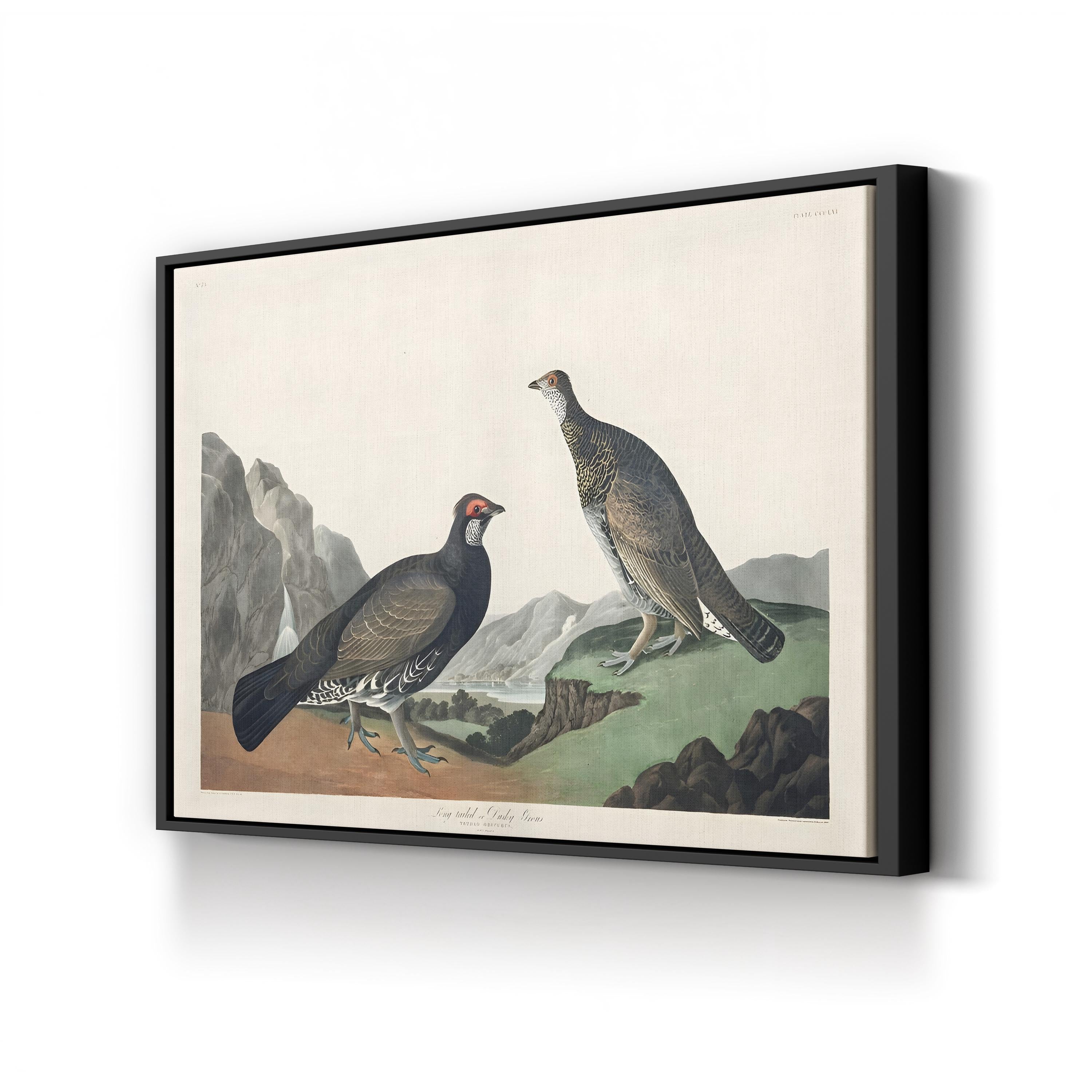 Long-Tailed or Dusky Grouse Wall Art – John James Audubon | Vintage Wildlife Lithograph Canvas Print