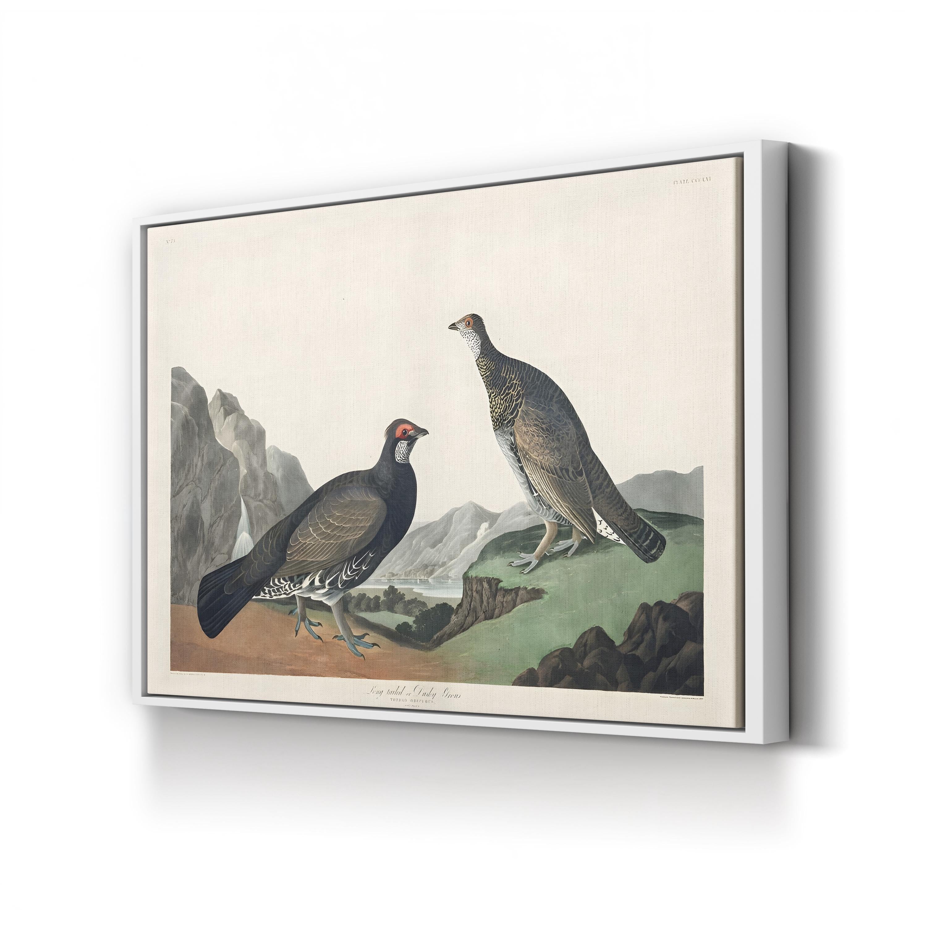 Long-Tailed or Dusky Grouse Wall Art – John James Audubon | Vintage Wildlife Lithograph Canvas Print