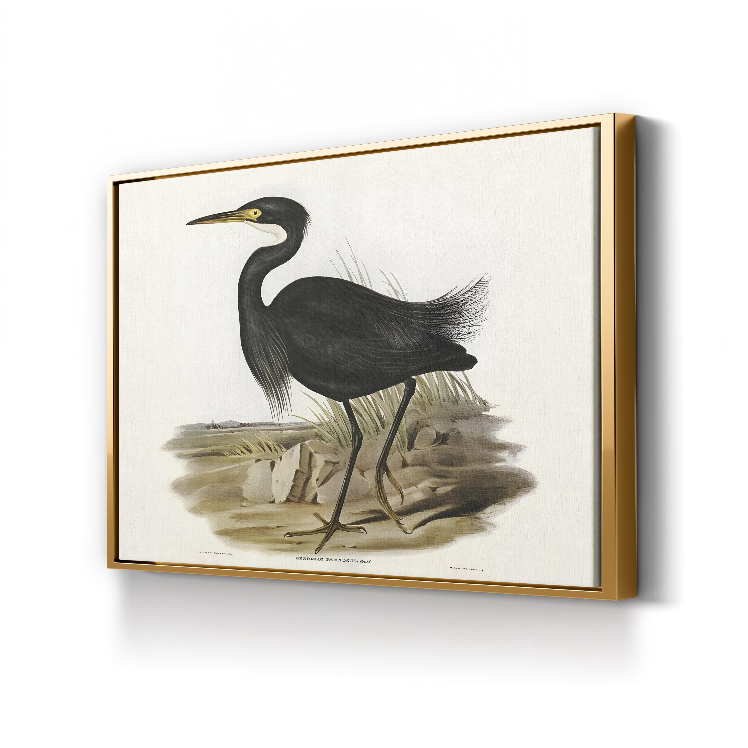Majestic Waterbird IV Wall Art by Elizabeth Gould – Vintage Ornithological Bird Canvas Print