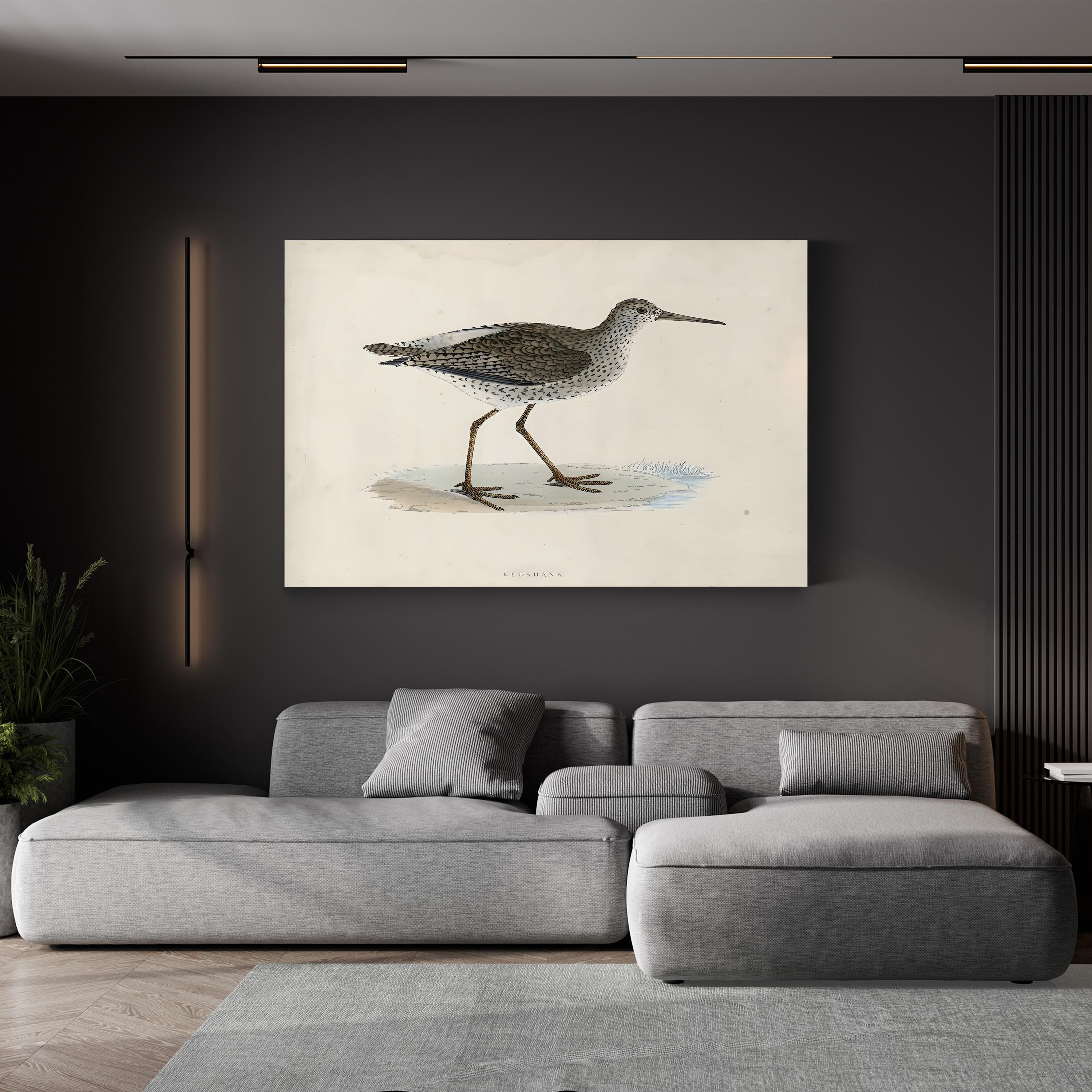 Vintage Sandpiper, Neutral Tones – Period Illustration Wall Art | Coastal Canvas Print