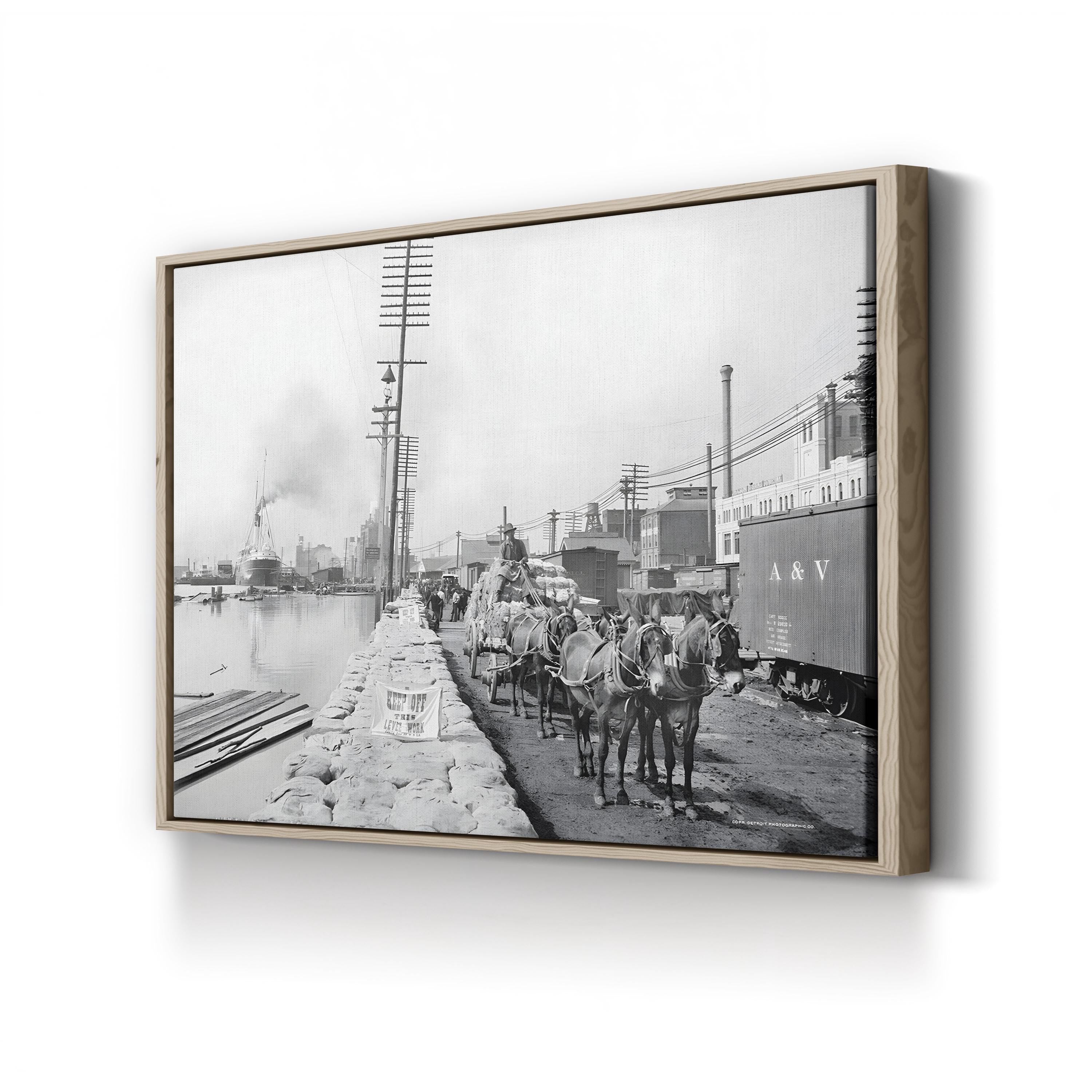 New Orleans Mule Team on the Levee, c. 1903 canvas print in an oak frame
