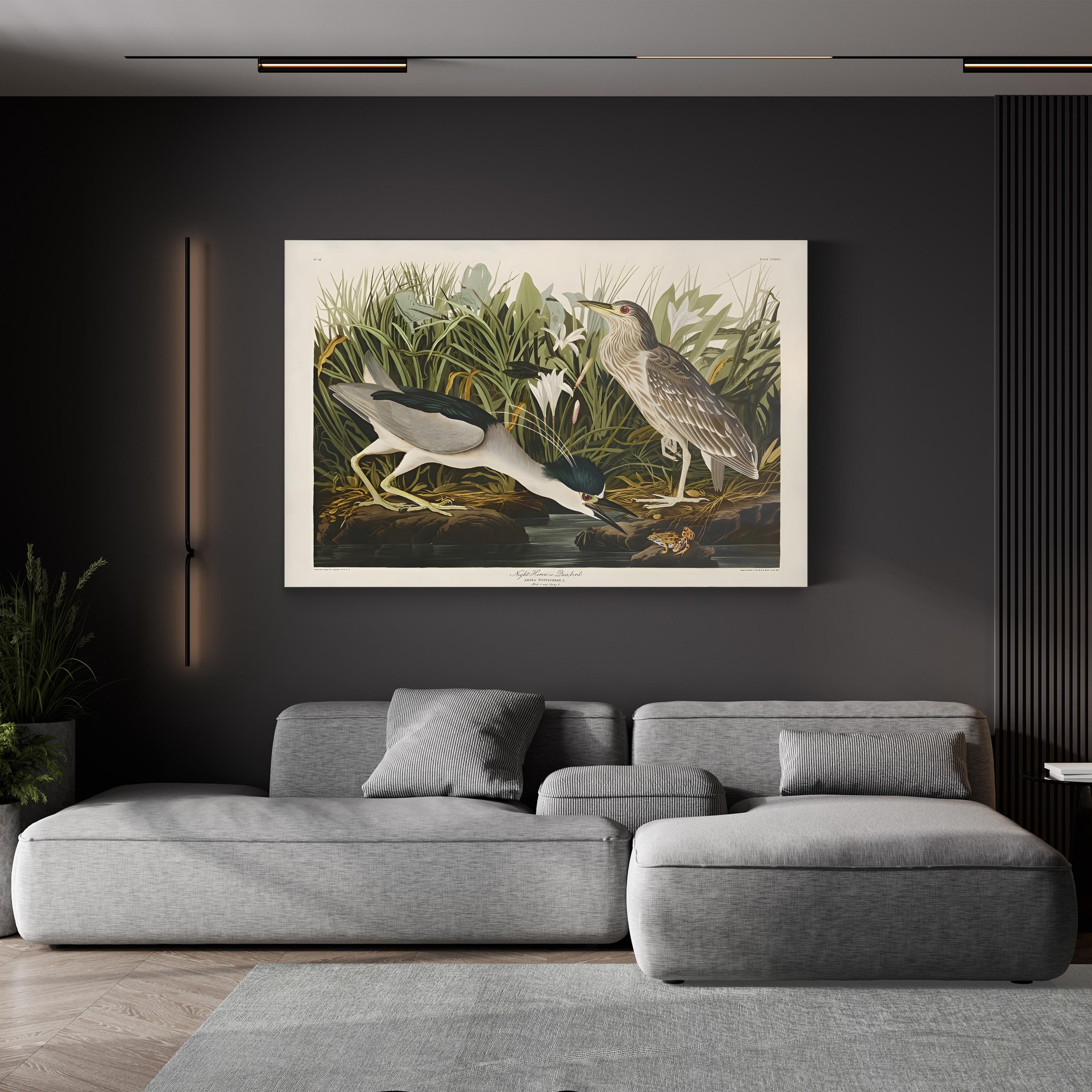 Night Heron – John James Audubon Wall Art | Vintage Wetlands Bird Canvas Print