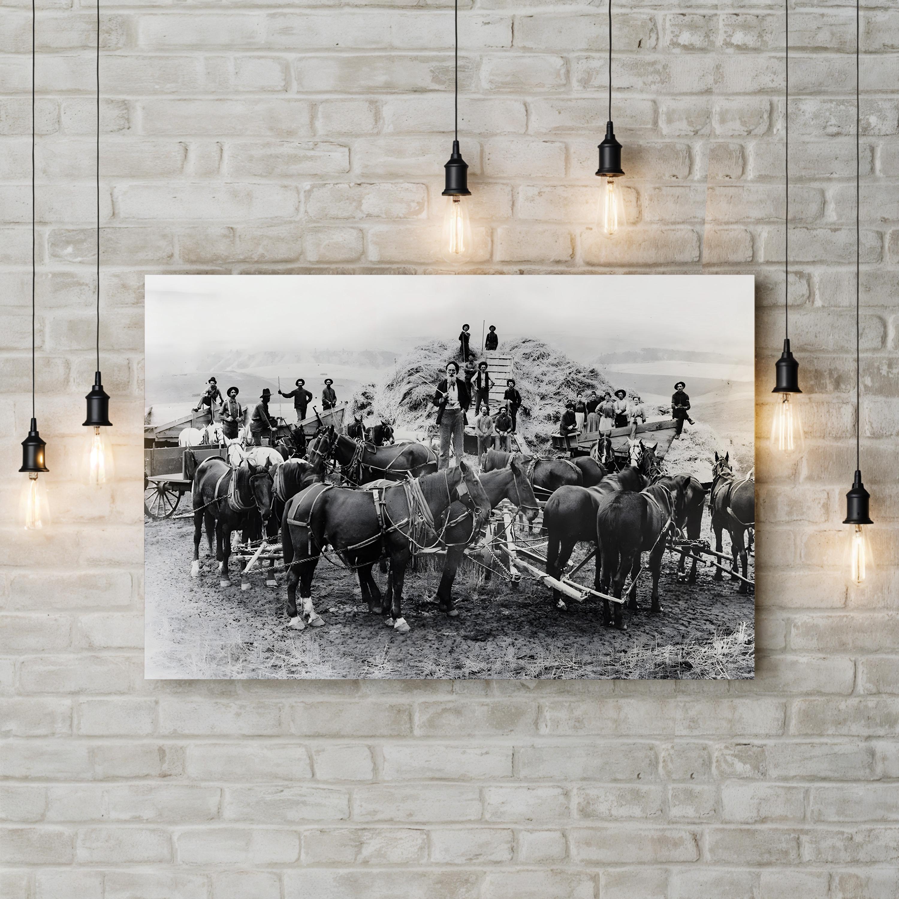 Oregon Wheat Harvest c.1880 – Vintage Photography Wall Art | Western Frontier Canvas Print