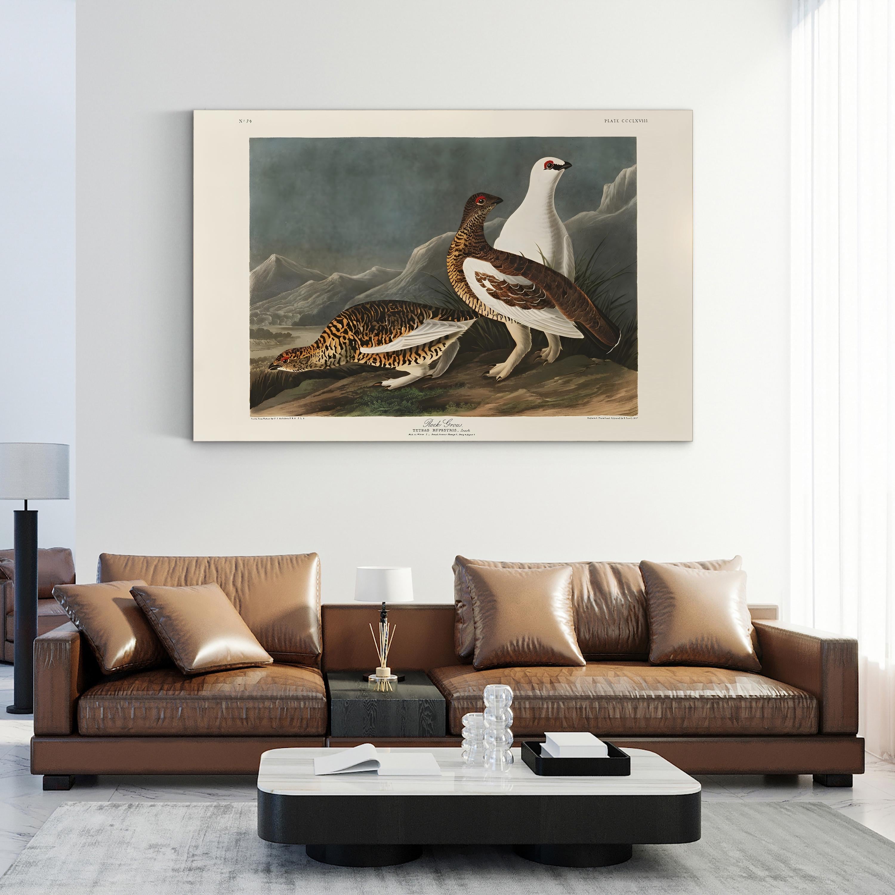 Vintage Rock Grouse – Period Illustration Wall Art | 19th-Century Wildlife Canvas Print