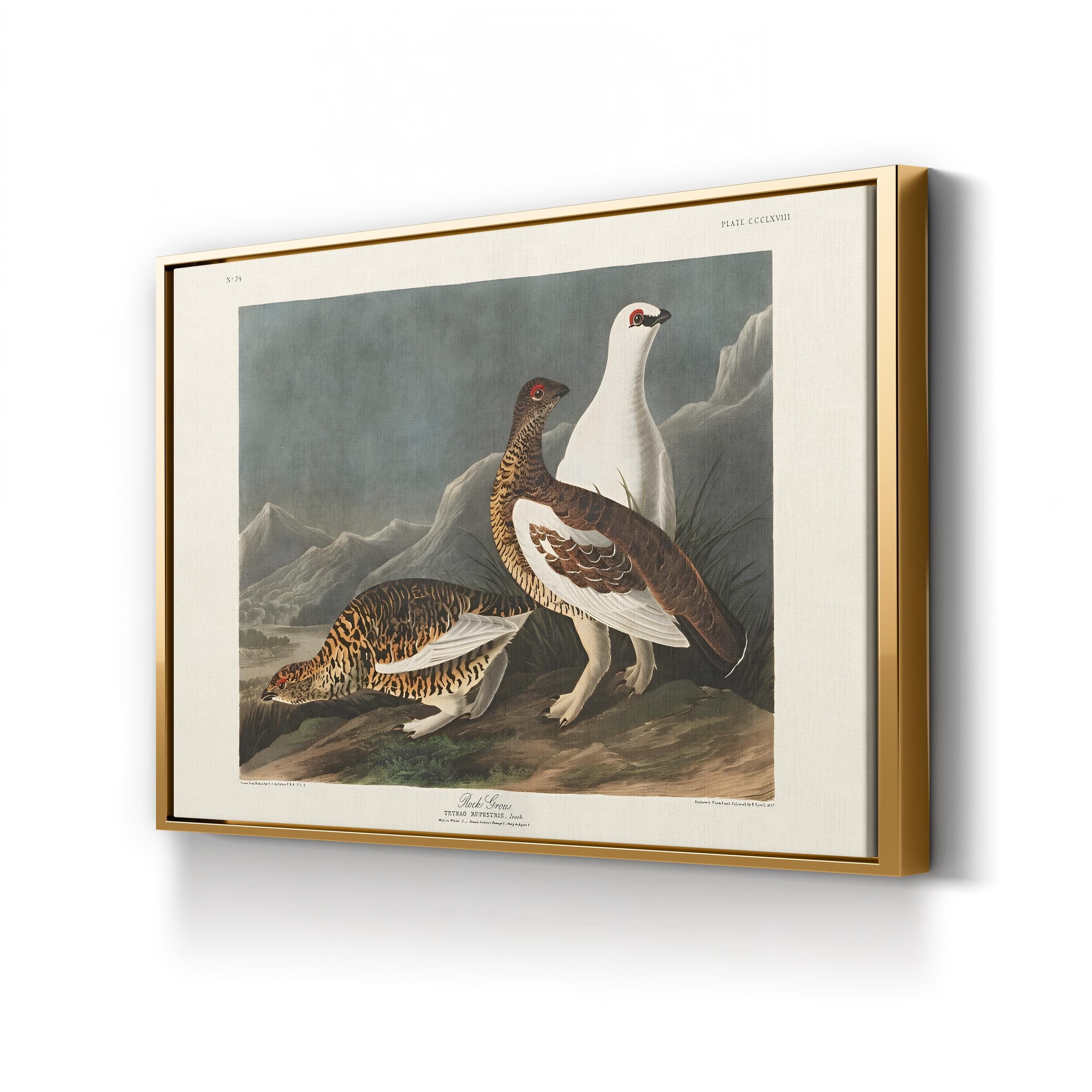 Vintage Rock Grouse – Period Illustration Wall Art | 19th-Century Wildlife Canvas Print