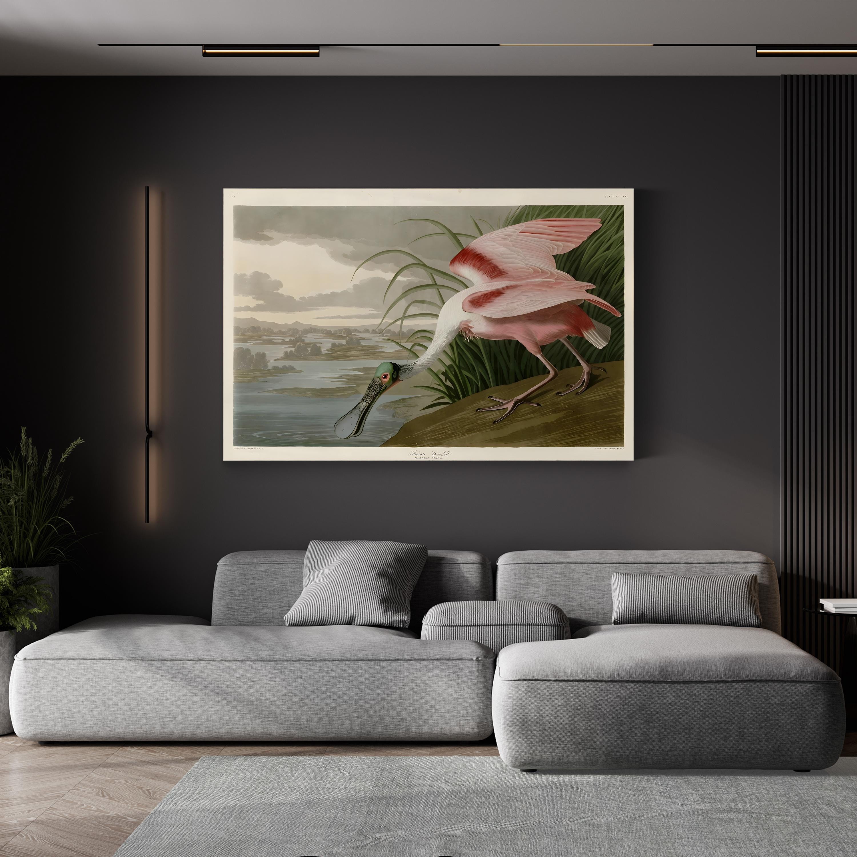 Roseate Spoonbill, Pink Plumage – Period Illustration Wall Art | Coastal Bird Canvas Print