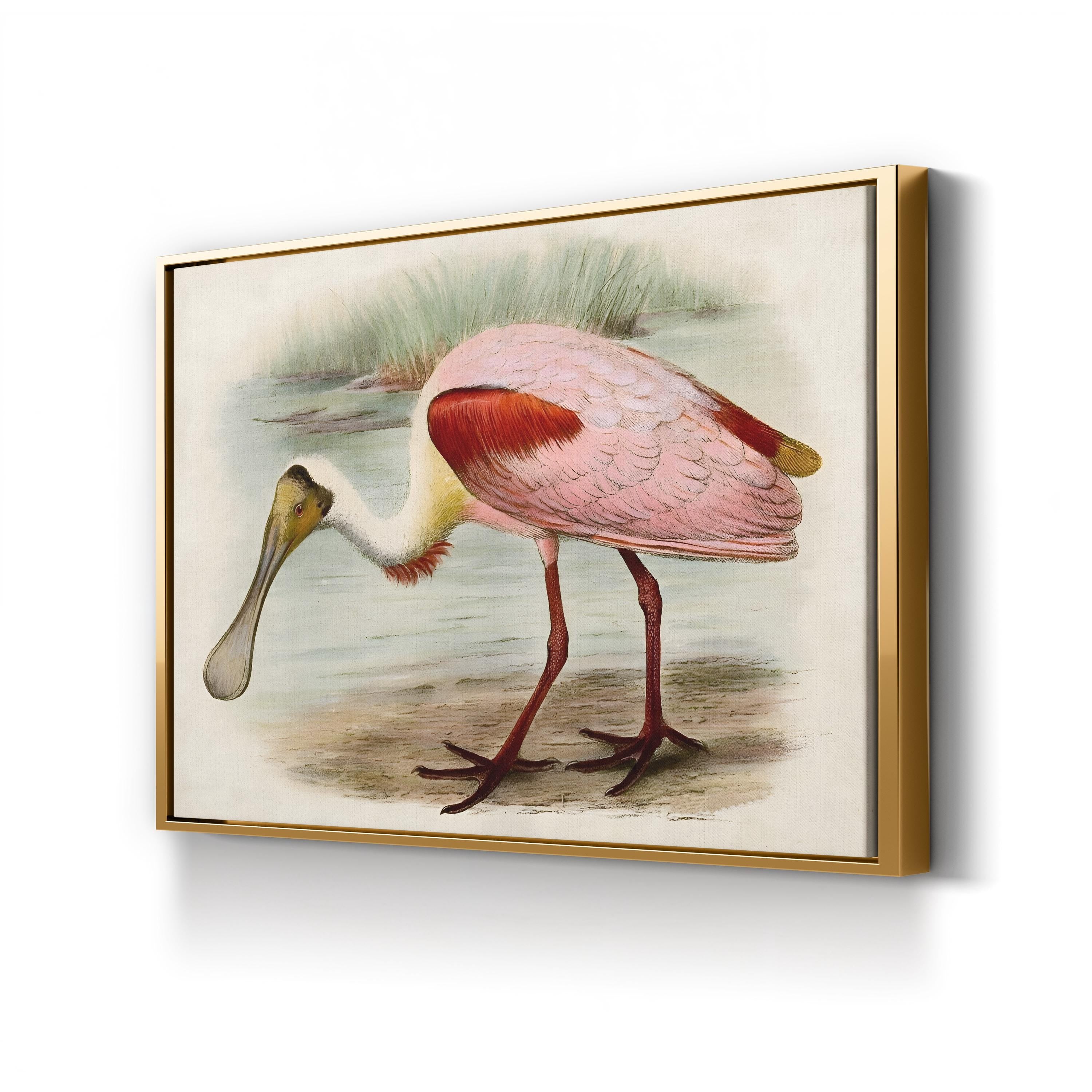 Roseate Spoonbills II Wall Art – Vintage Wildlife Bird Illustration Canvas