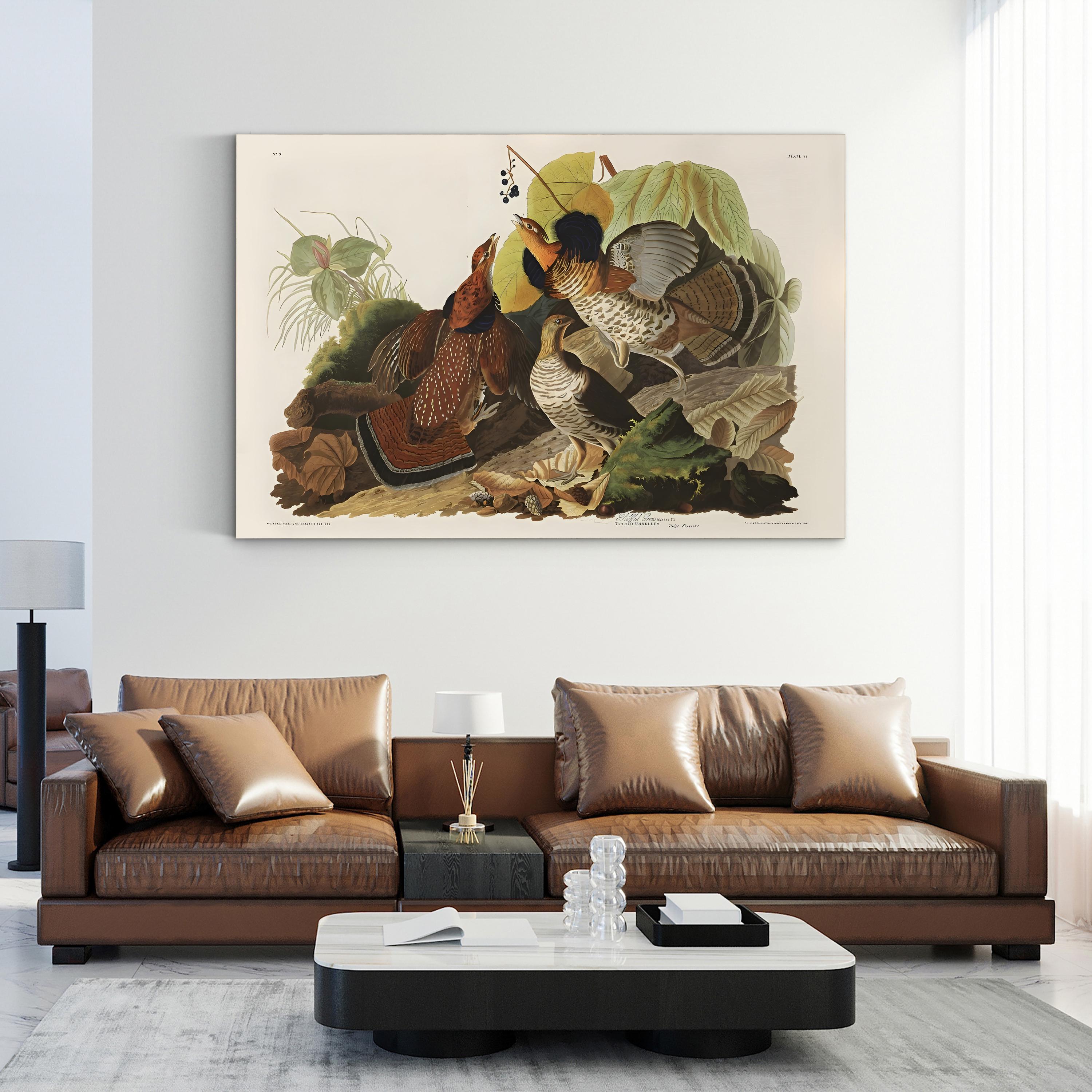Ruffed Grouse Wall Art by John James Audubon – Classic Wildlife Illustration Canvas