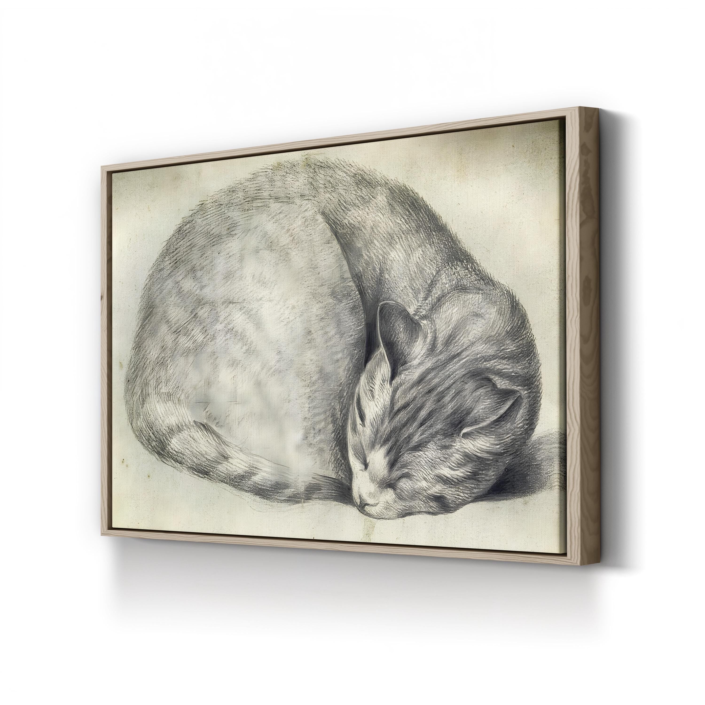 Sleeping Cat Canvas Art Print – Vintage Pencil Drawing, Animal Wall Art