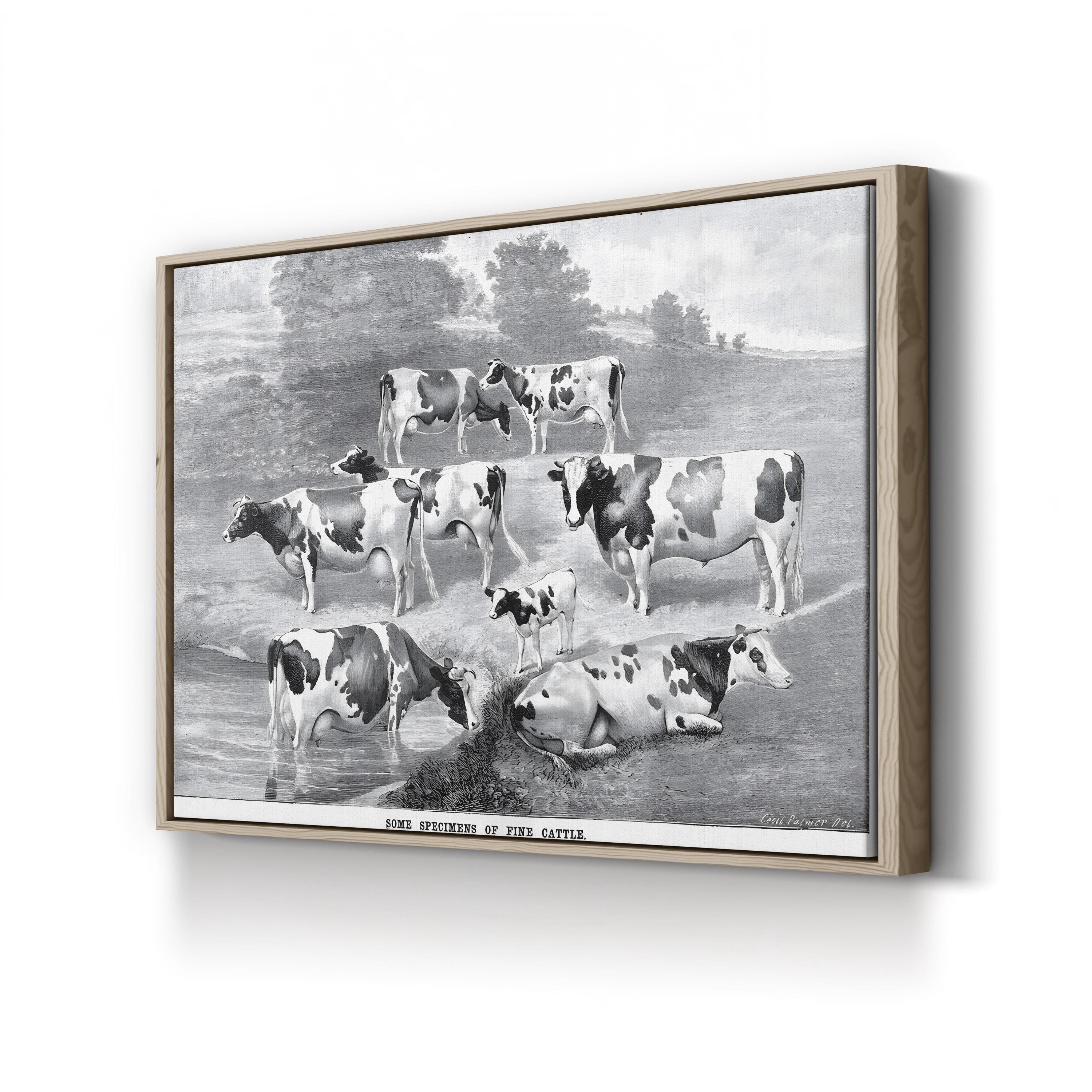1884 Farmstead Cattle Farmhouse Canvas Wall Art