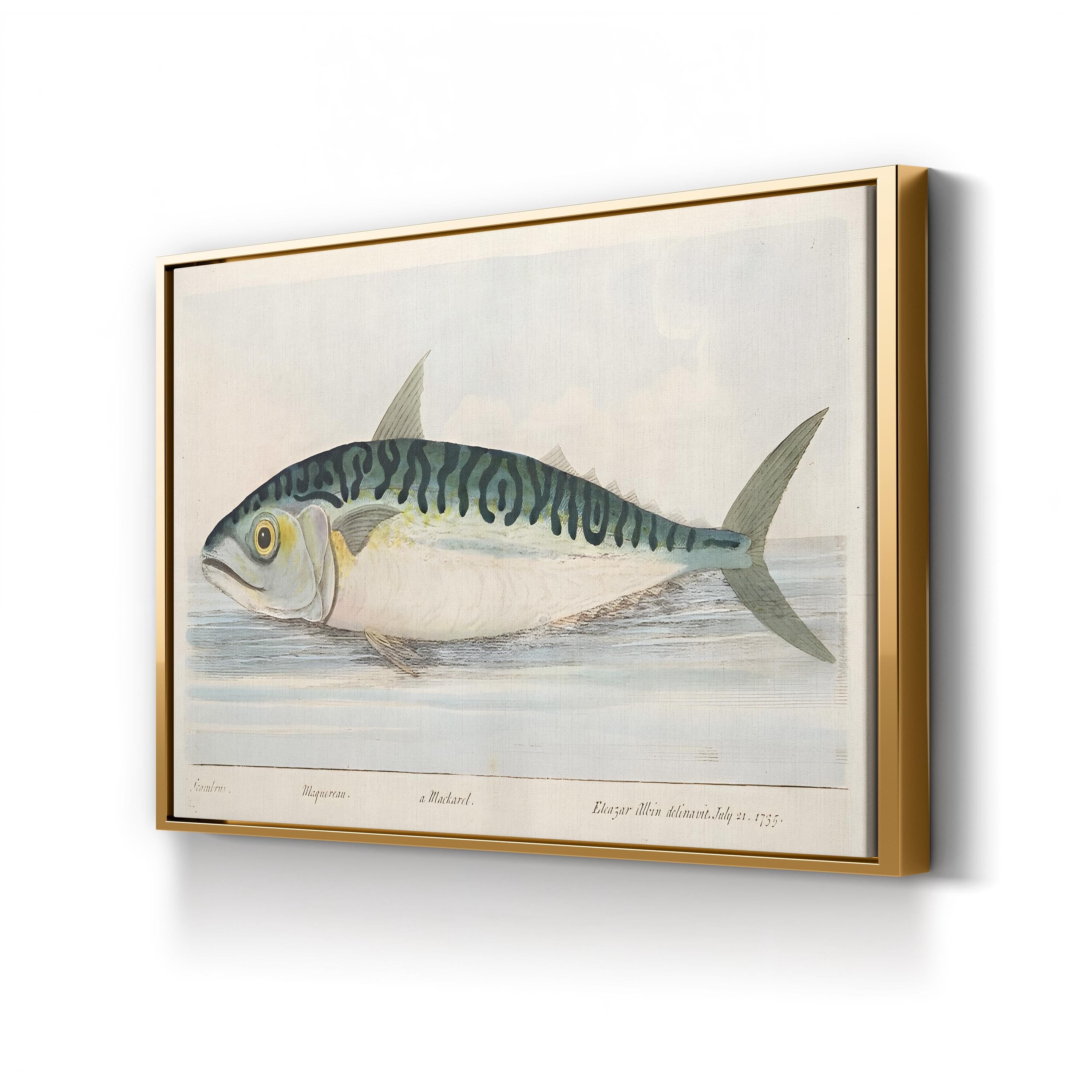 The Mackerel (1832) Wall Art by Eleazar Albin – Antique Natural History Fish Engraving