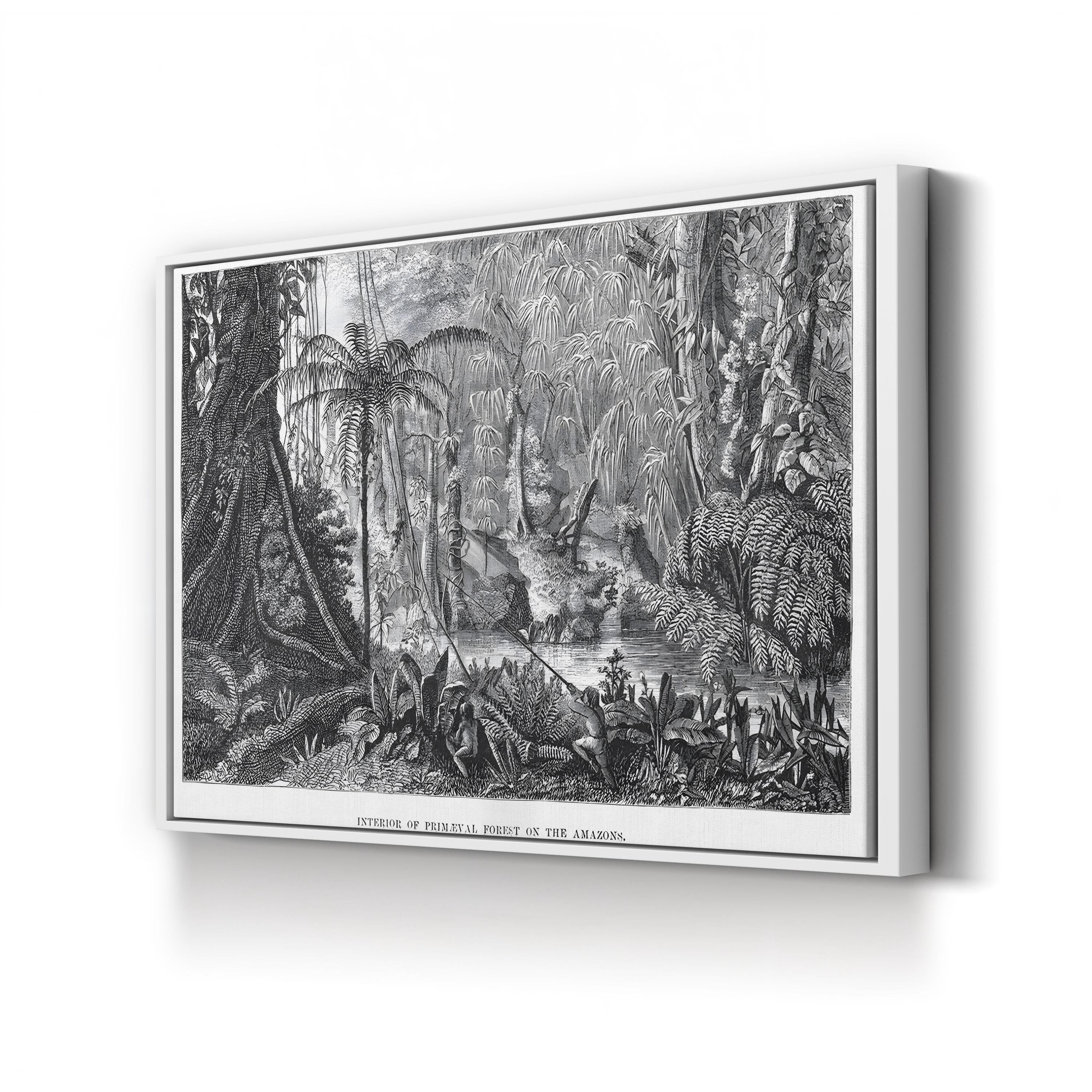 Vintage Amazon Rainforest Interior Canvas Print: Henry Walter Bates (1863)