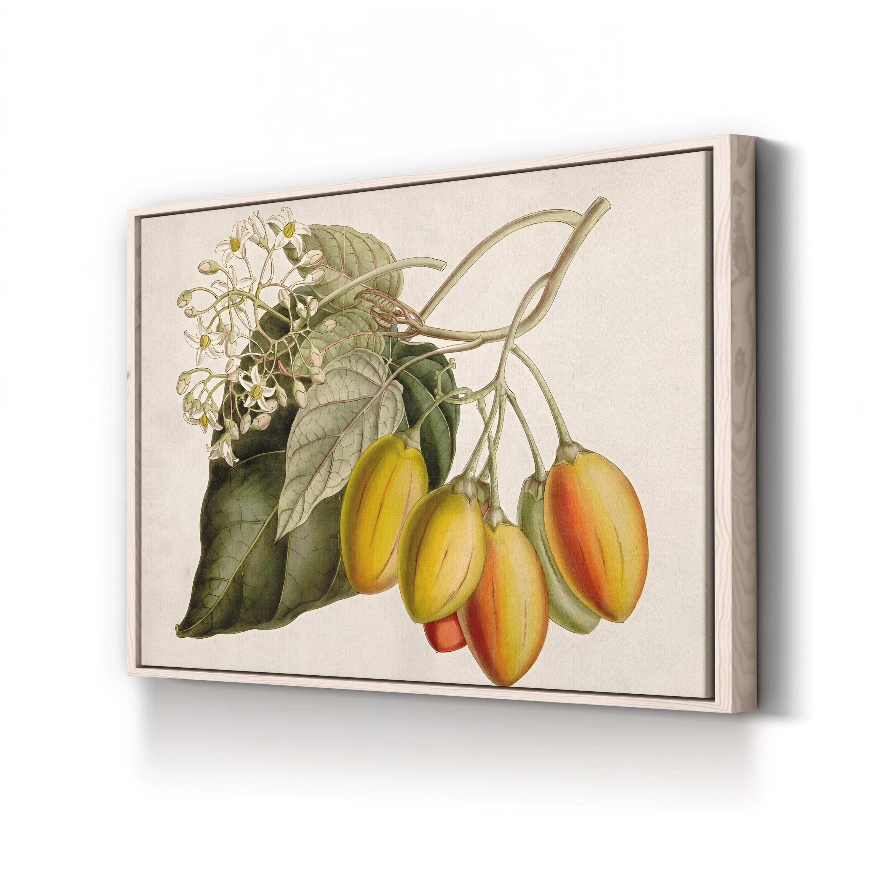 Exotic Garden Tropical Fruit & Foliage Botanical Art Print by Curtis Art