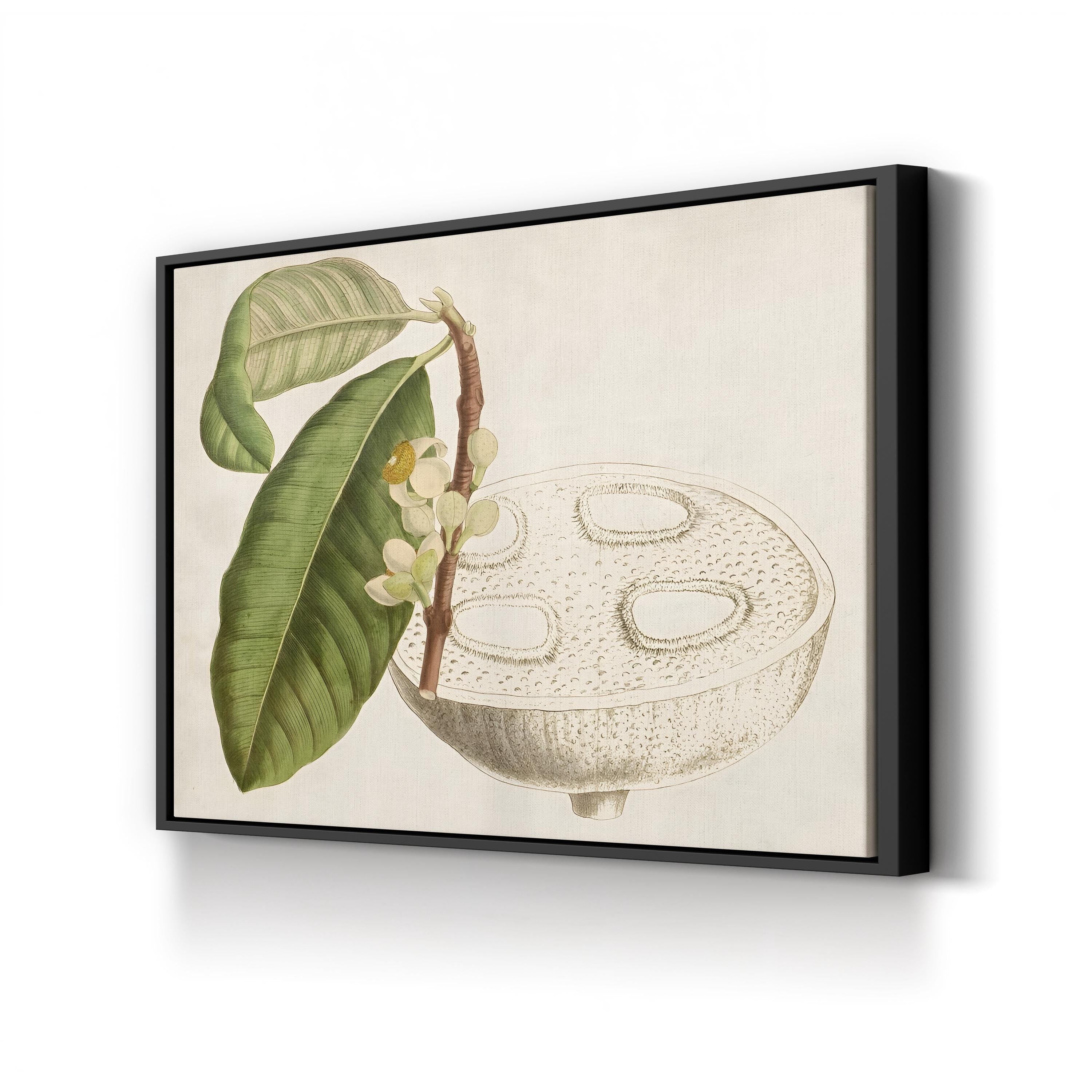 Tropical Fruit Canvas Print: Vintage Botanical Foliage Wall Art