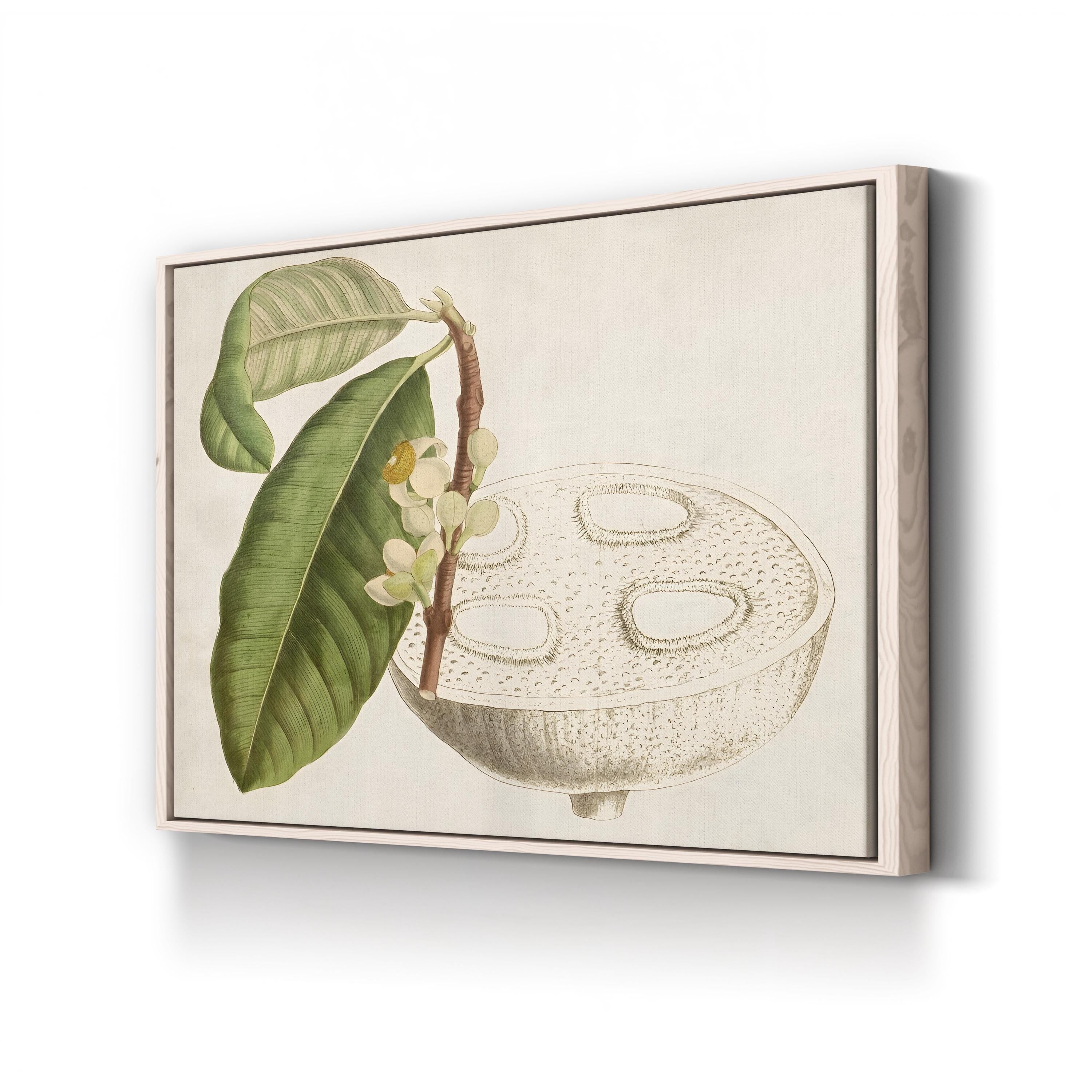Tropical Fruit Canvas Print: Vintage Botanical Foliage Wall Art