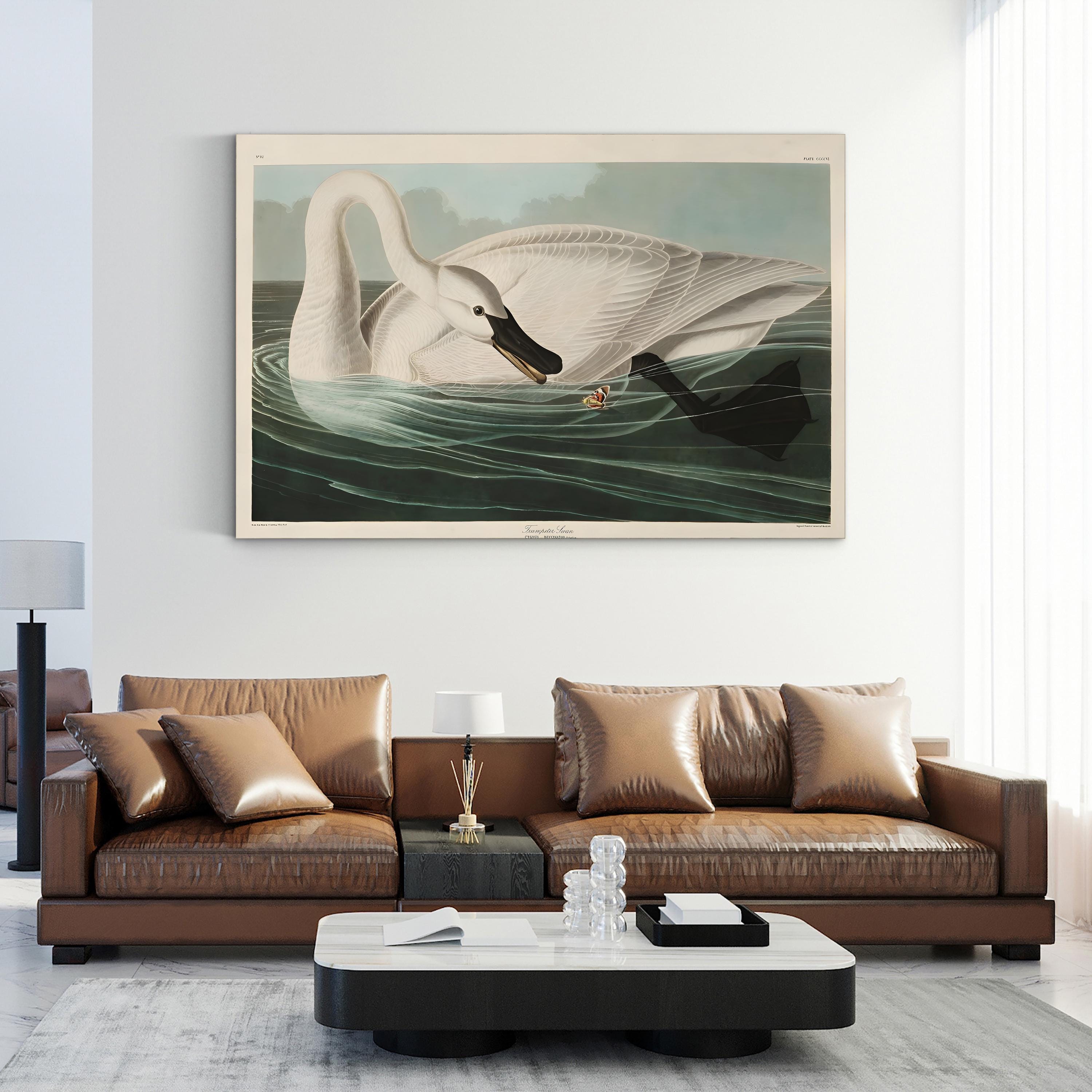 Trumpeter Swan Canvas Art Print: Vintage Wildlife Wall Art in Hand-Cut Wood Frame