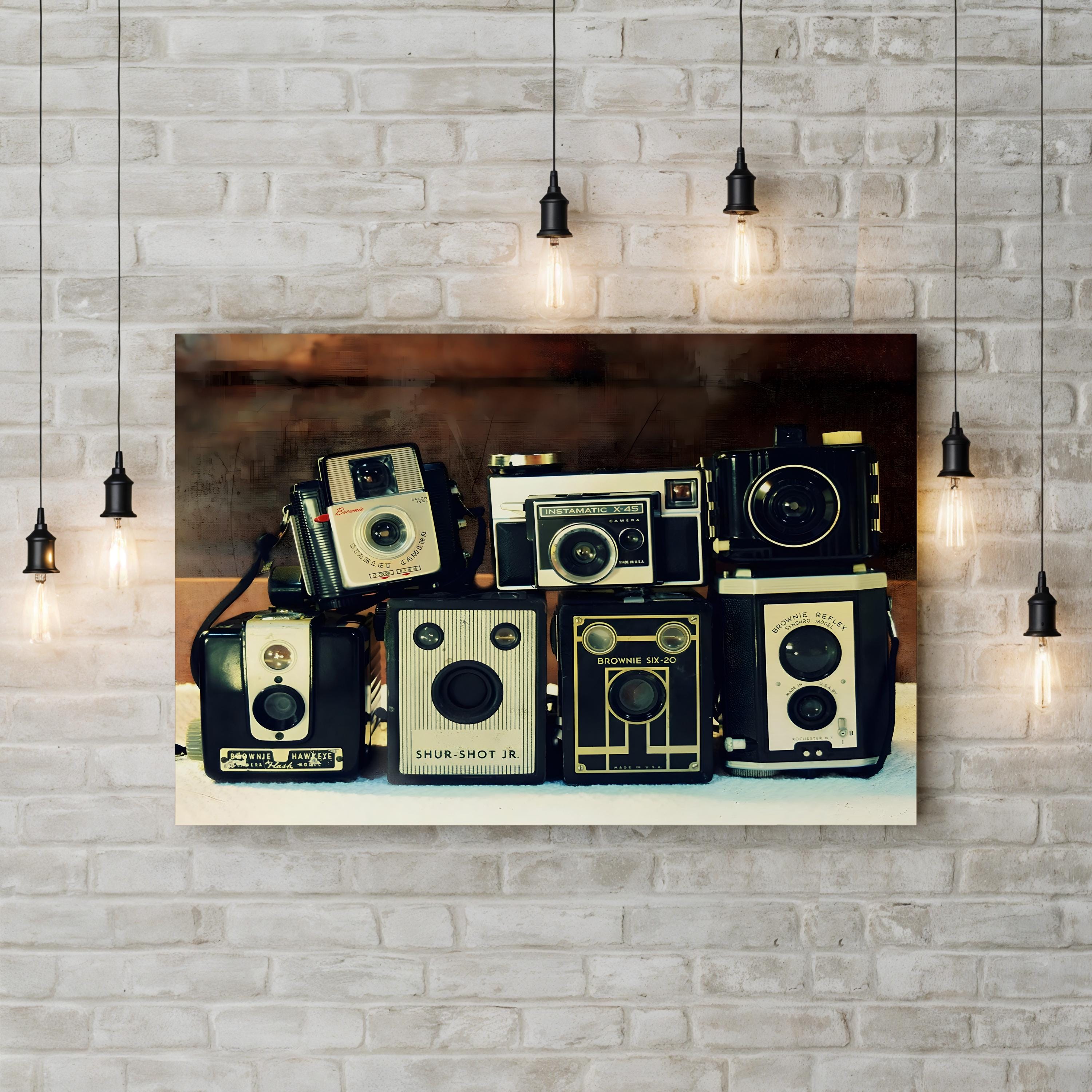20th-Century Vintage Camera Still Life Canvas Print