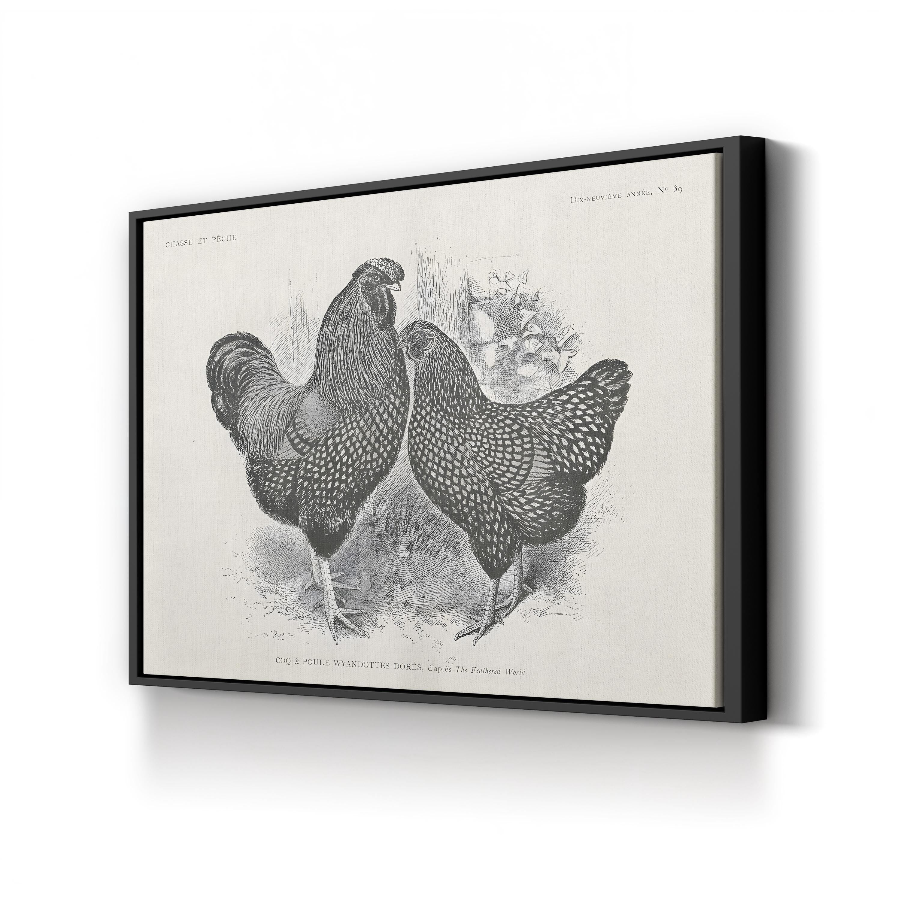 Farmhouse Rooster & Chickens – Period Illustration Wall Art | Black & White Etching Canvas Print